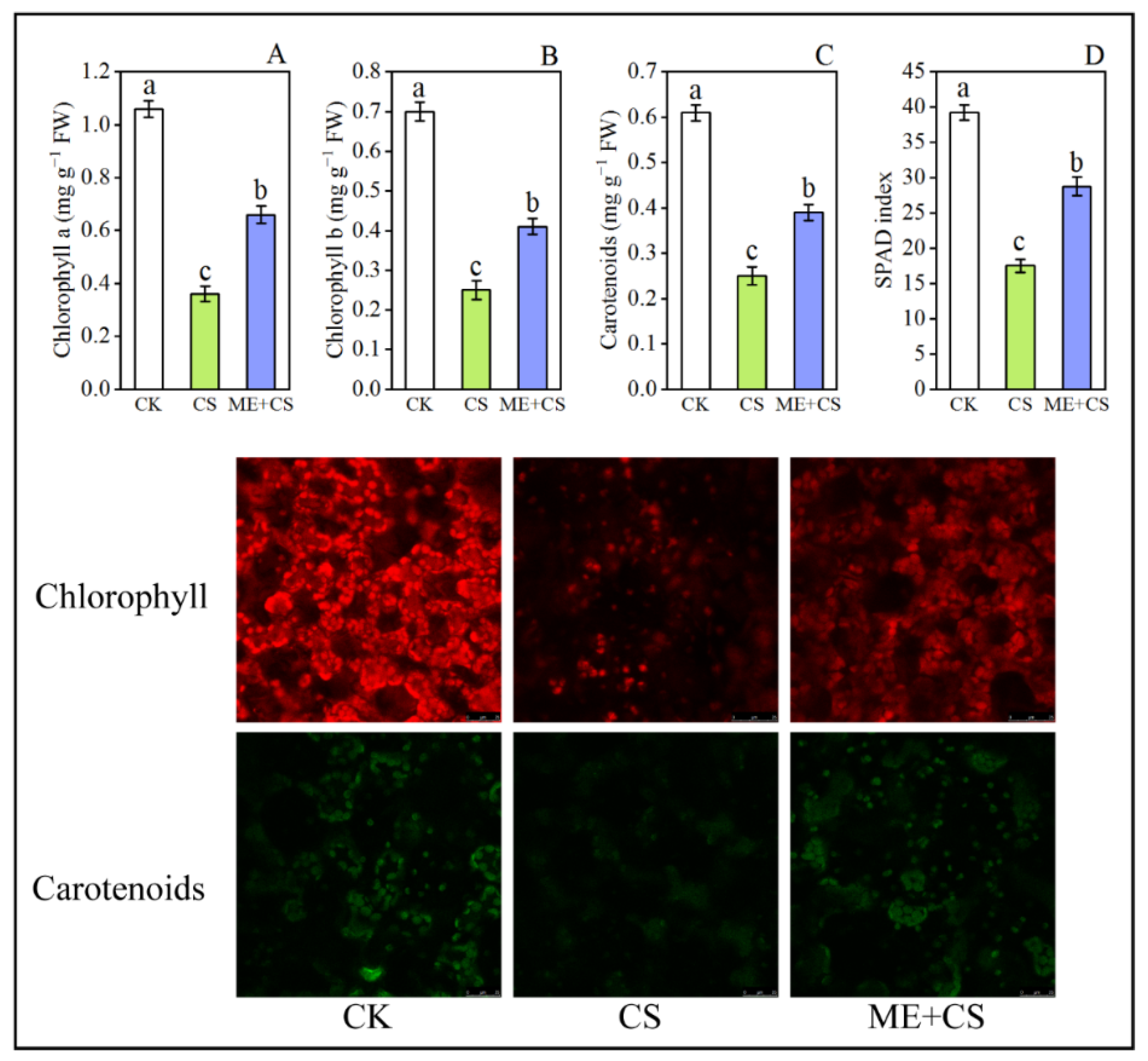 Antioxidants 11 02414 g002 Antioxidants 11 02414 g002