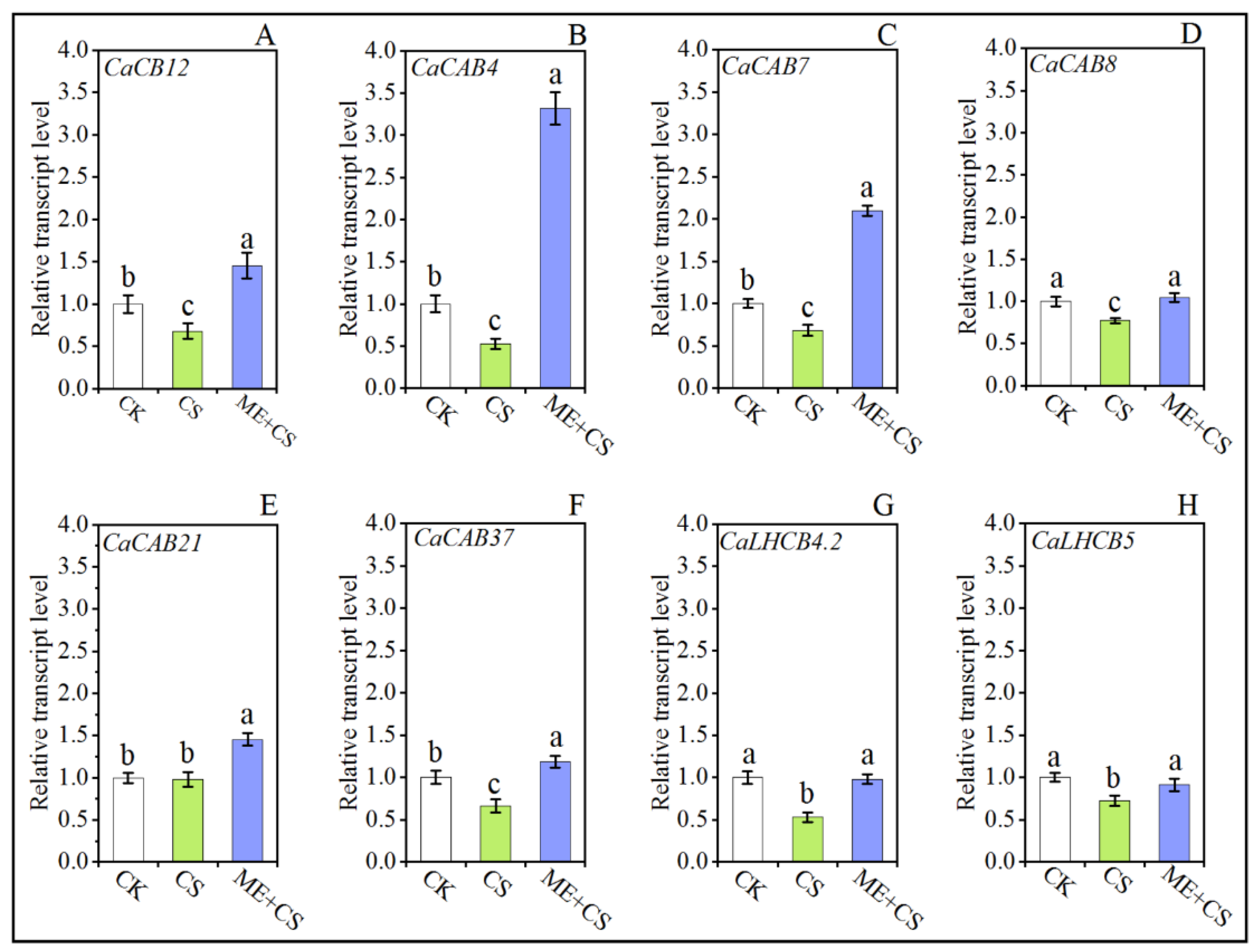 Antioxidants 11 02414 g003 Antioxidants 11 02414 g003