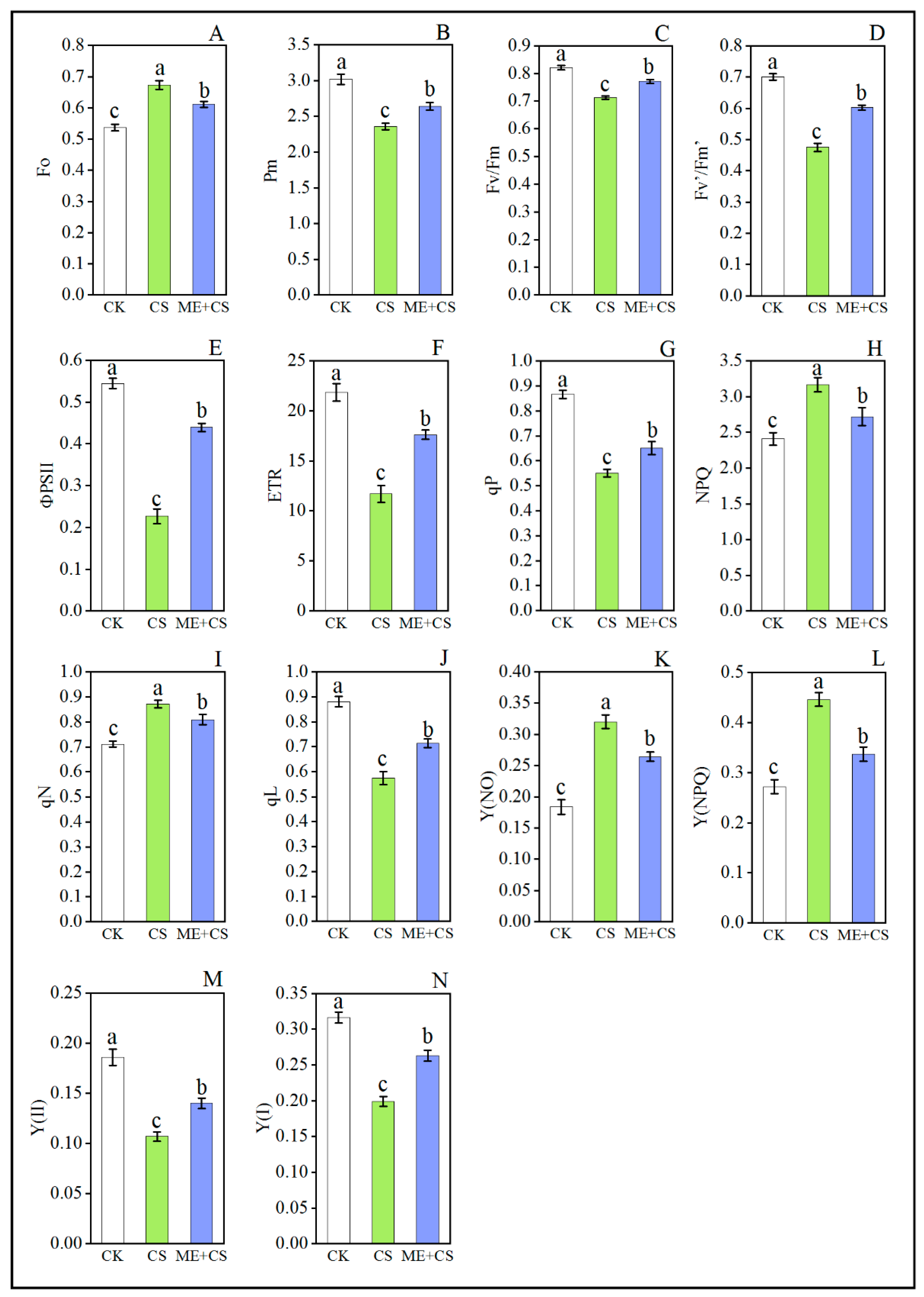 Antioxidants 11 02414 g005 Antioxidants 11 02414 g005