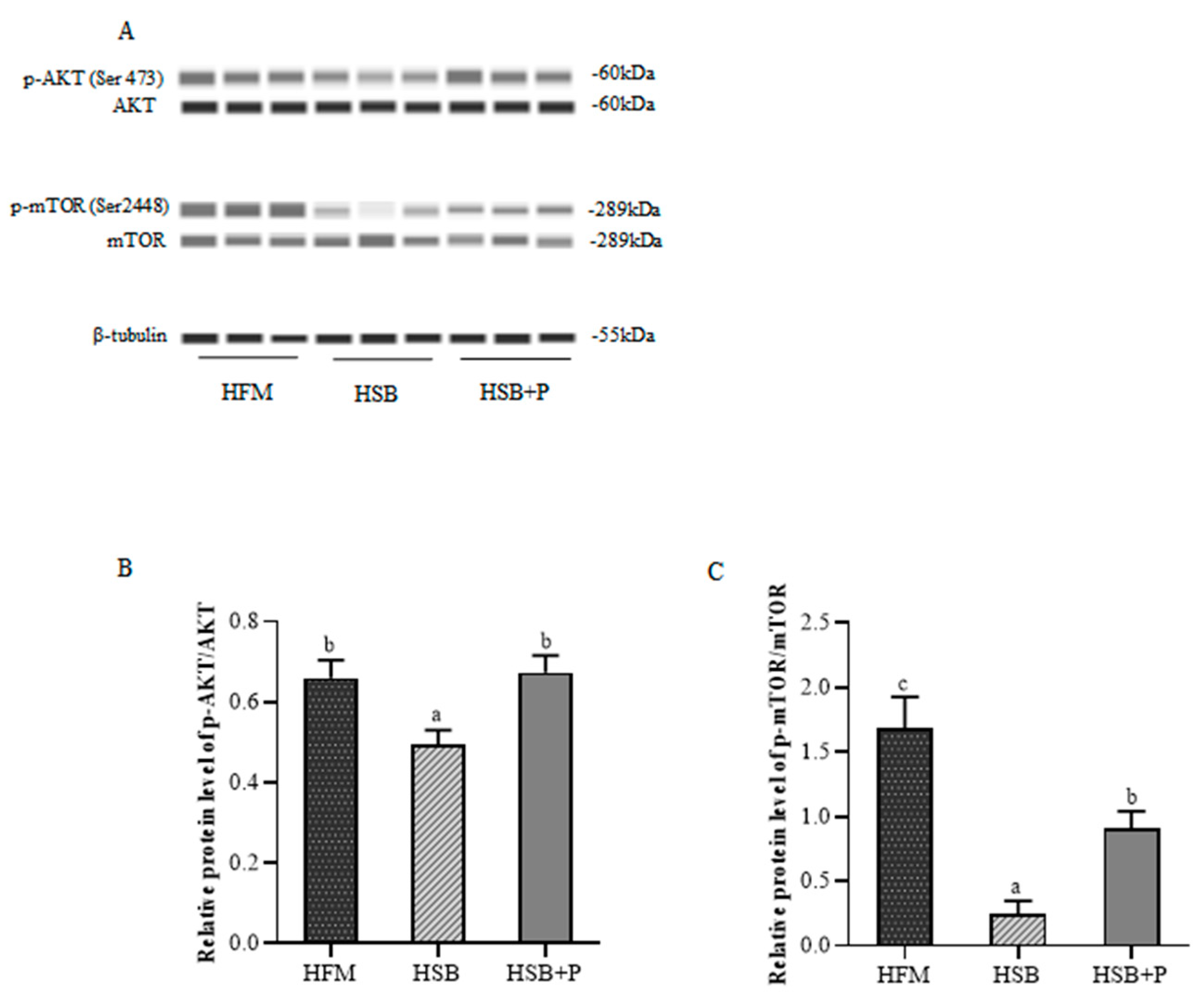 Antioxidants 11 02415 g003 Antioxidants 11 02415 g003