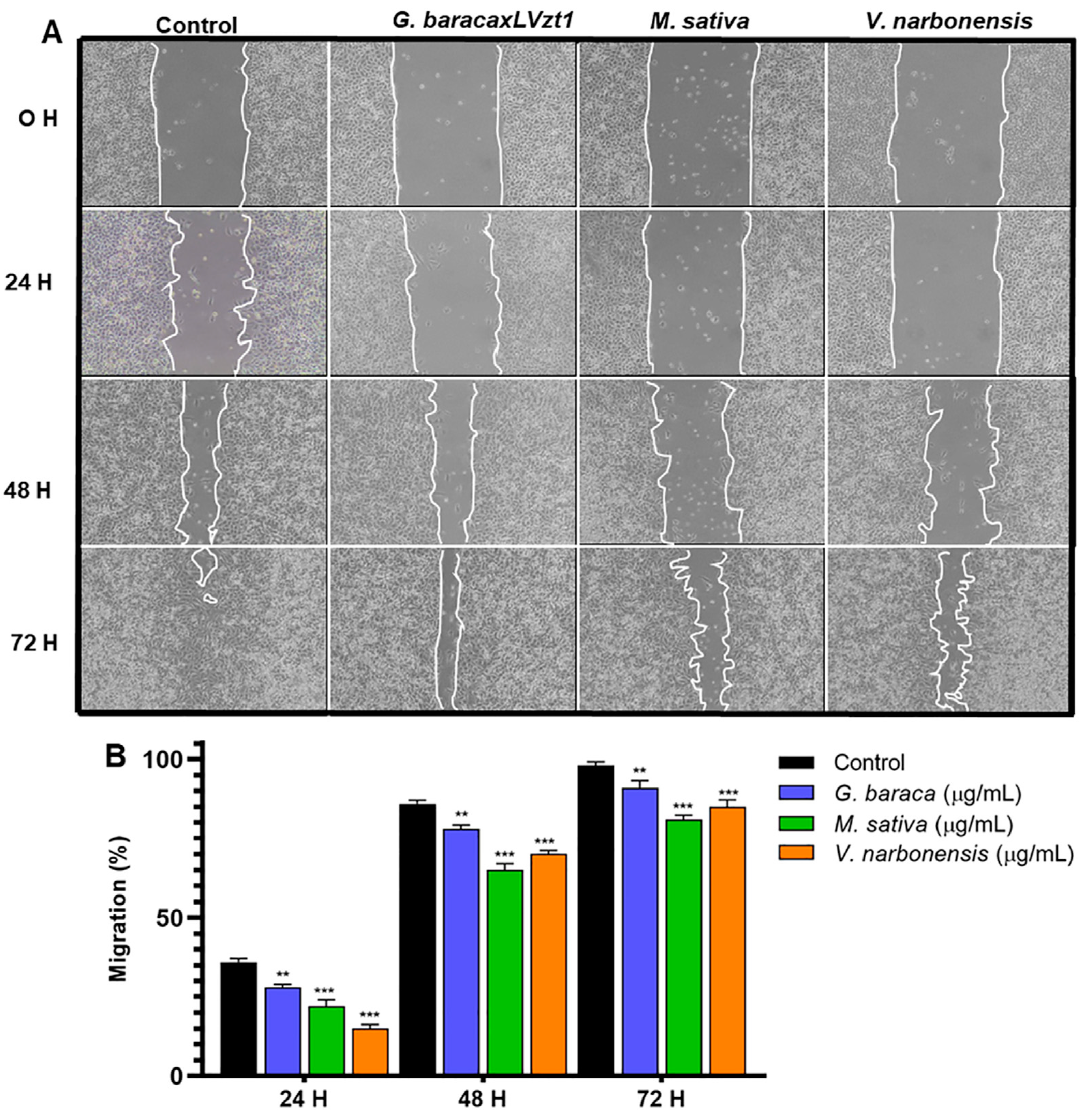 Antioxidants 11 02421 g002 Antioxidants 11 02421 g002
