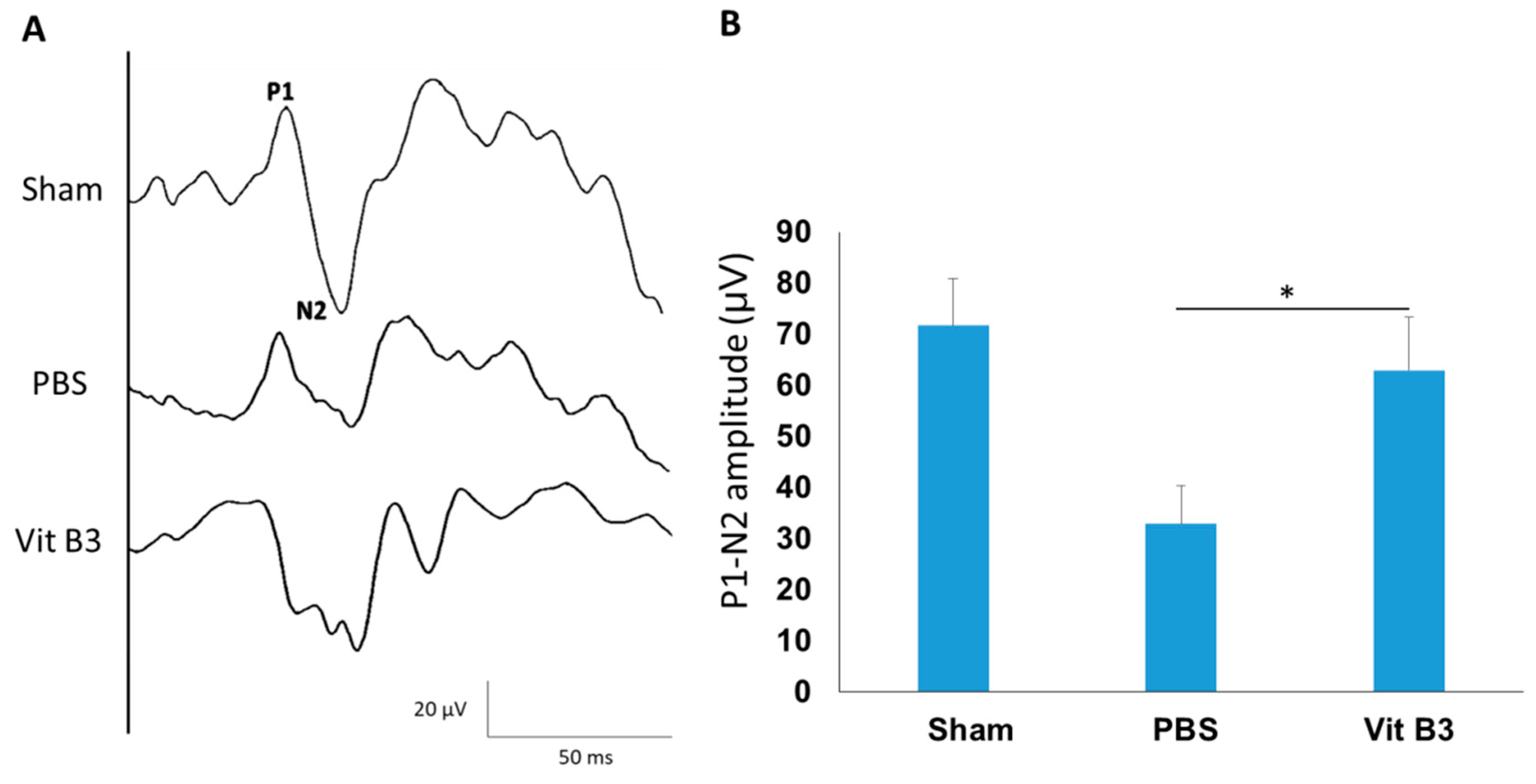 Antioxidants 11 02422 g001 Antioxidants 11 02422 g001