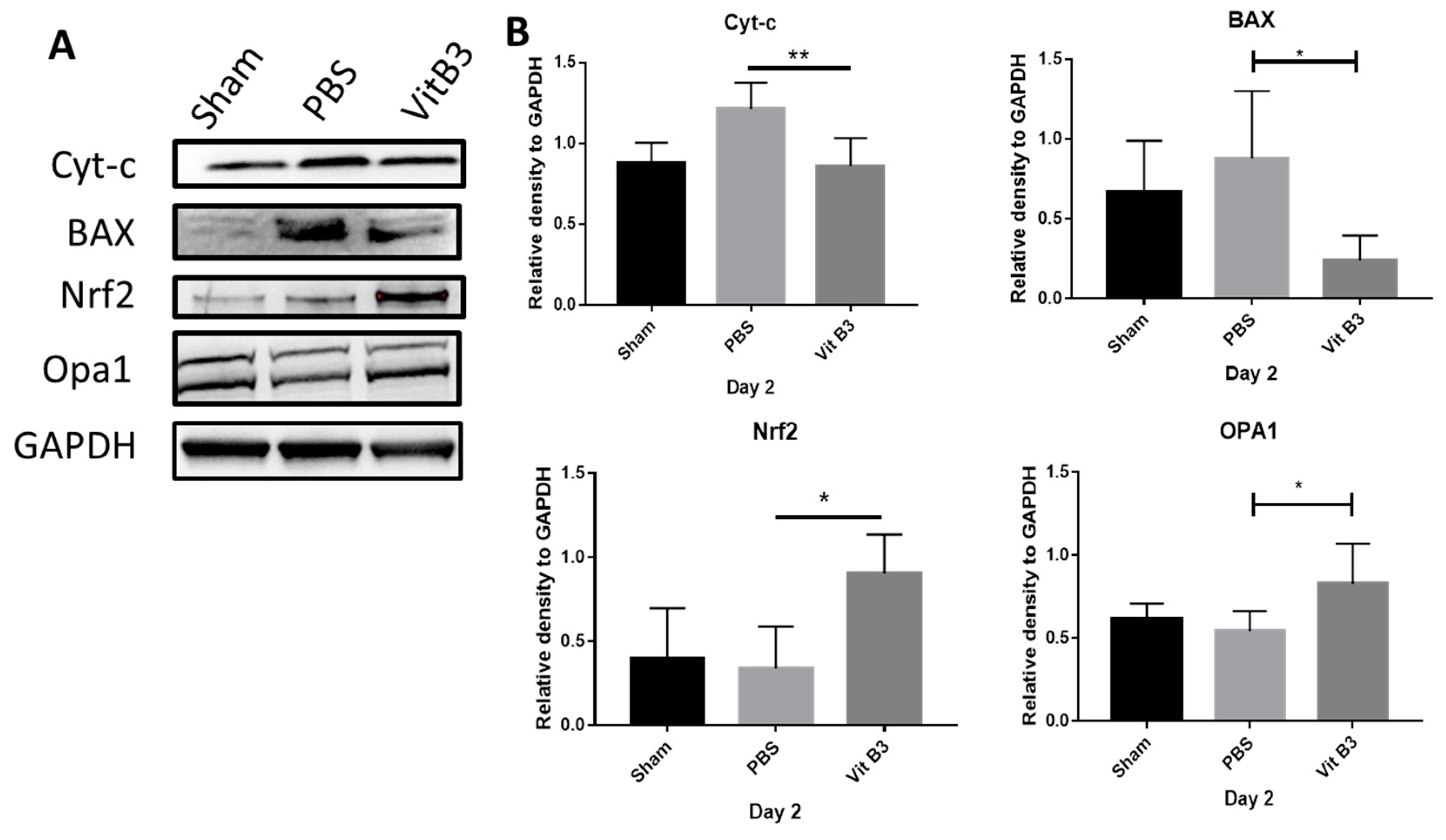 Antioxidants 11 02422 g006 Antioxidants 11 02422 g006