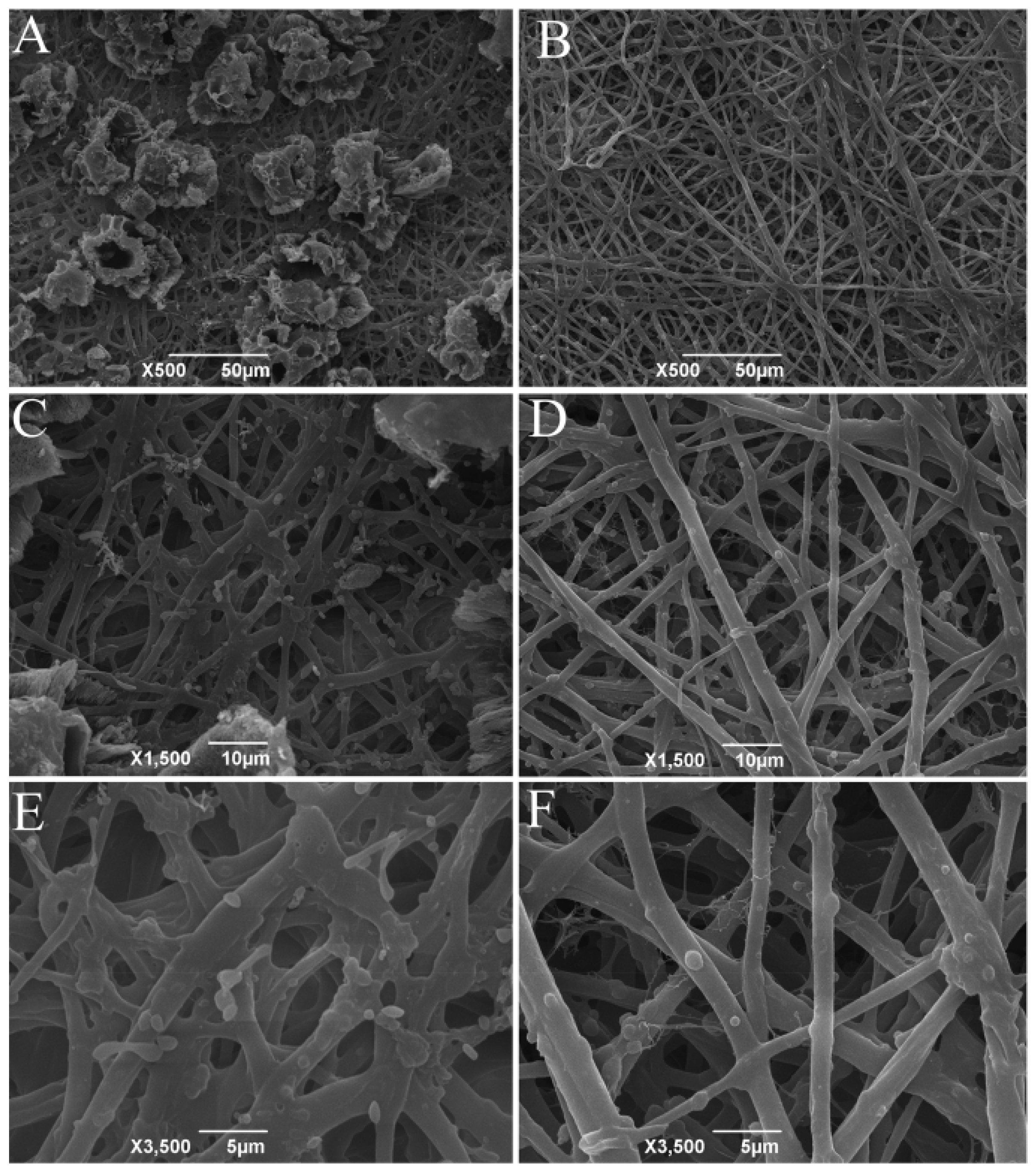 Hatched Eggshell Membrane Can Be a Novel Source of Hatched Eggshell Membrane Can Be a Novel Source of