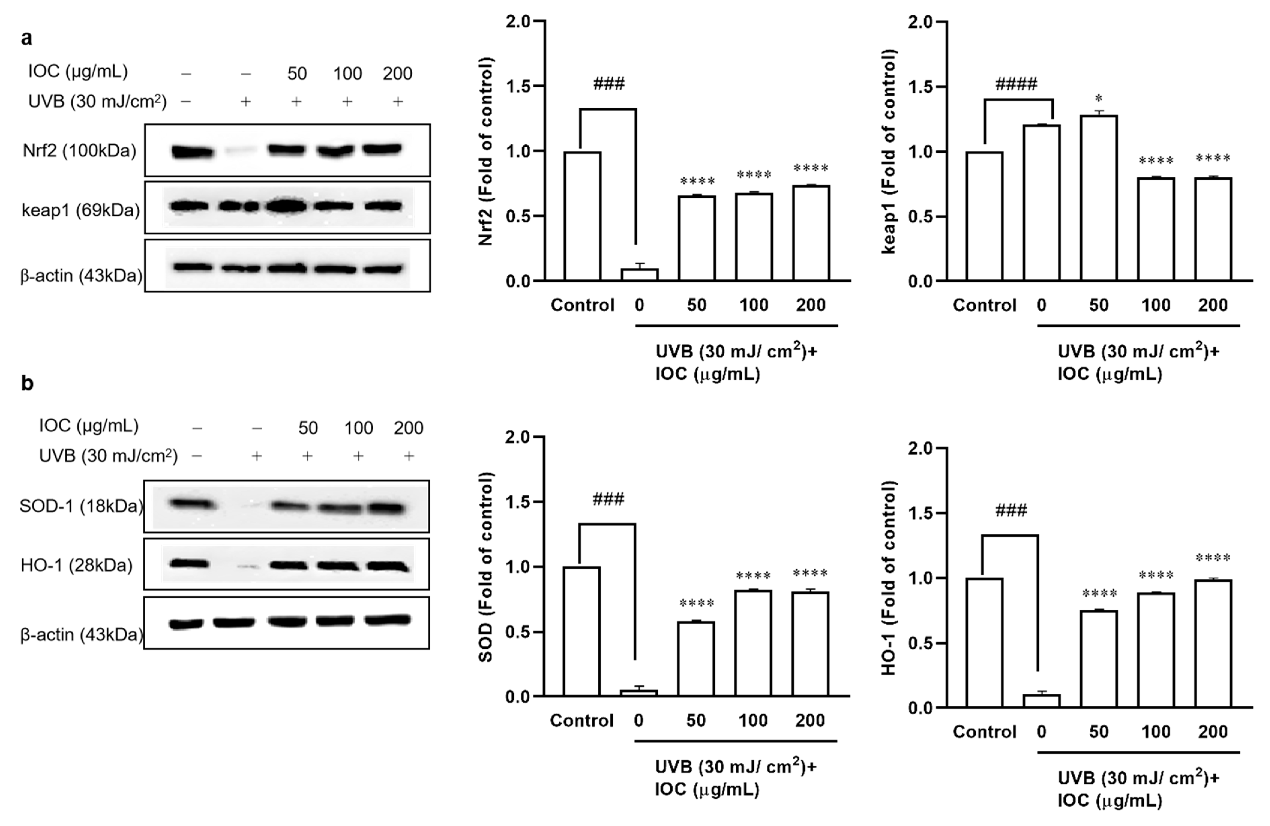 Antioxidants 11 02442 g006 Antioxidants 11 02442 g006