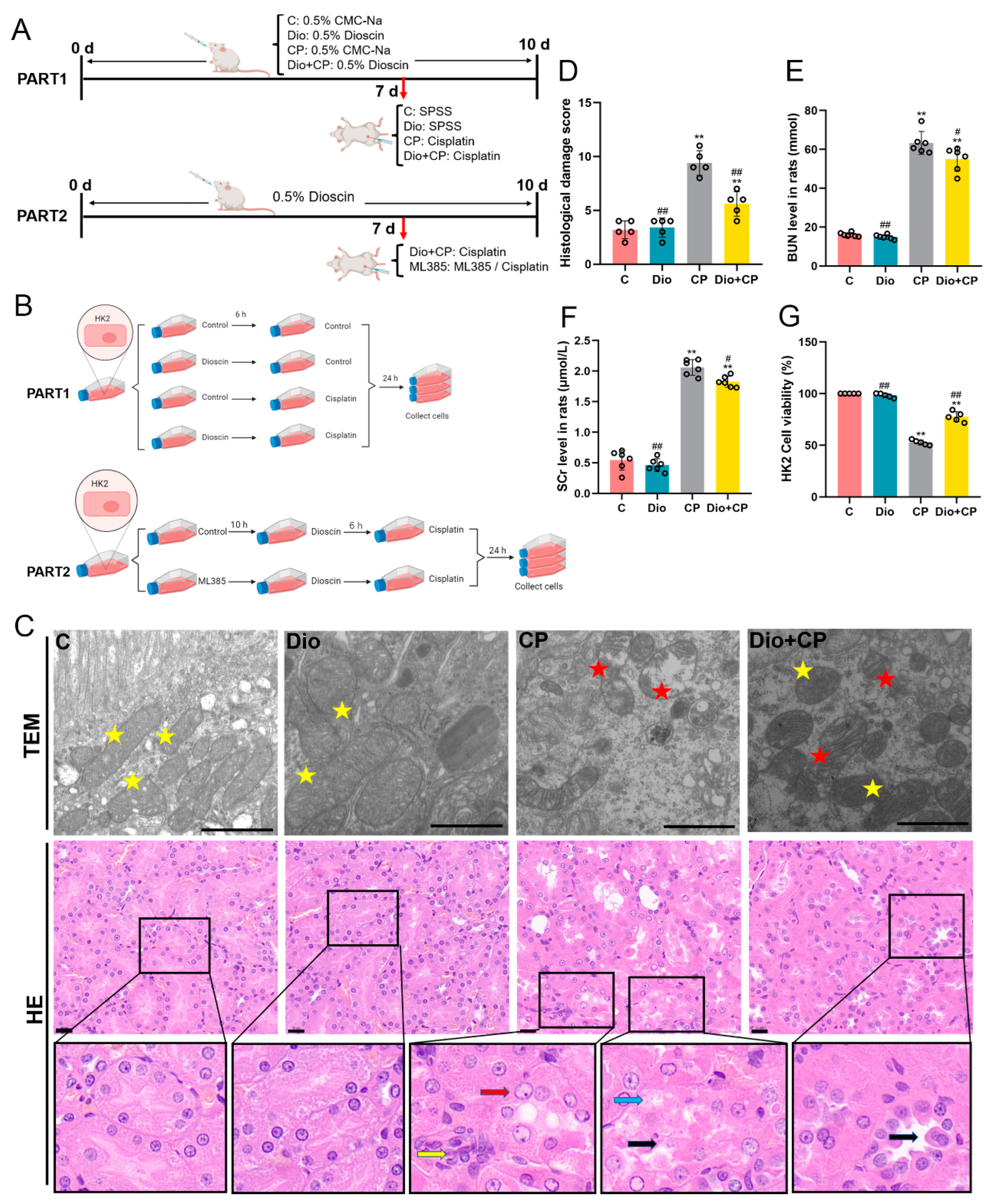 Antioxidants 11 02443 g001 Antioxidants 11 02443 g001