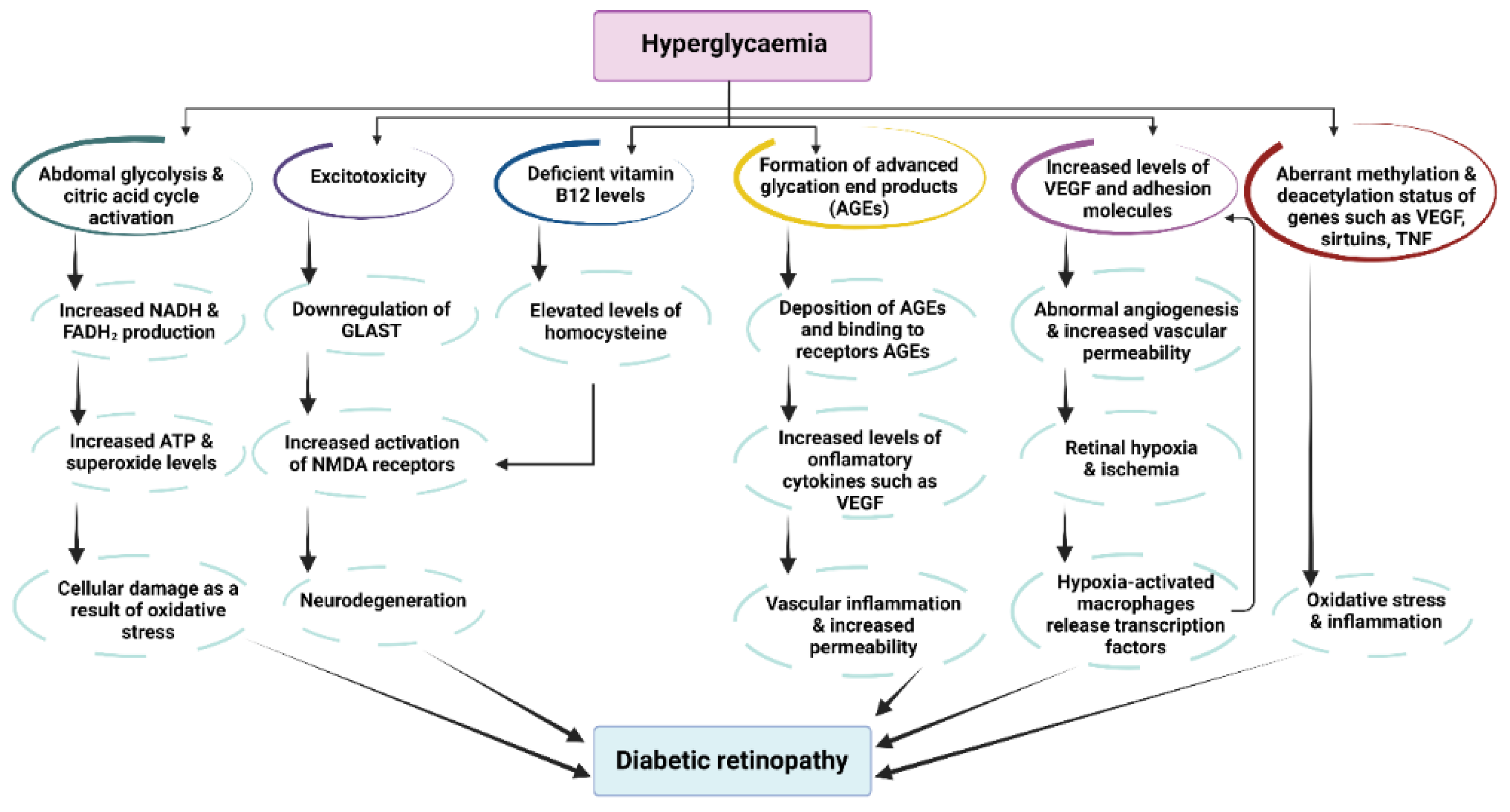 Antioxidants 11 02447 g004