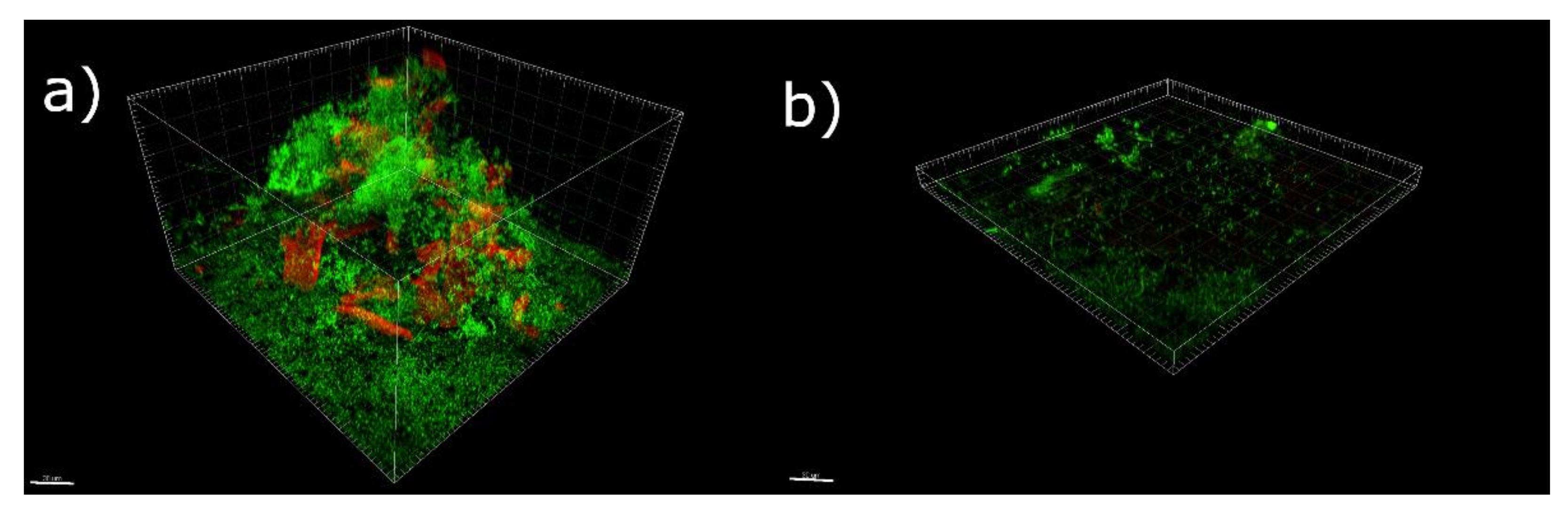 Antioxidants 11 02451 g001 Antioxidants 11 02451 g001