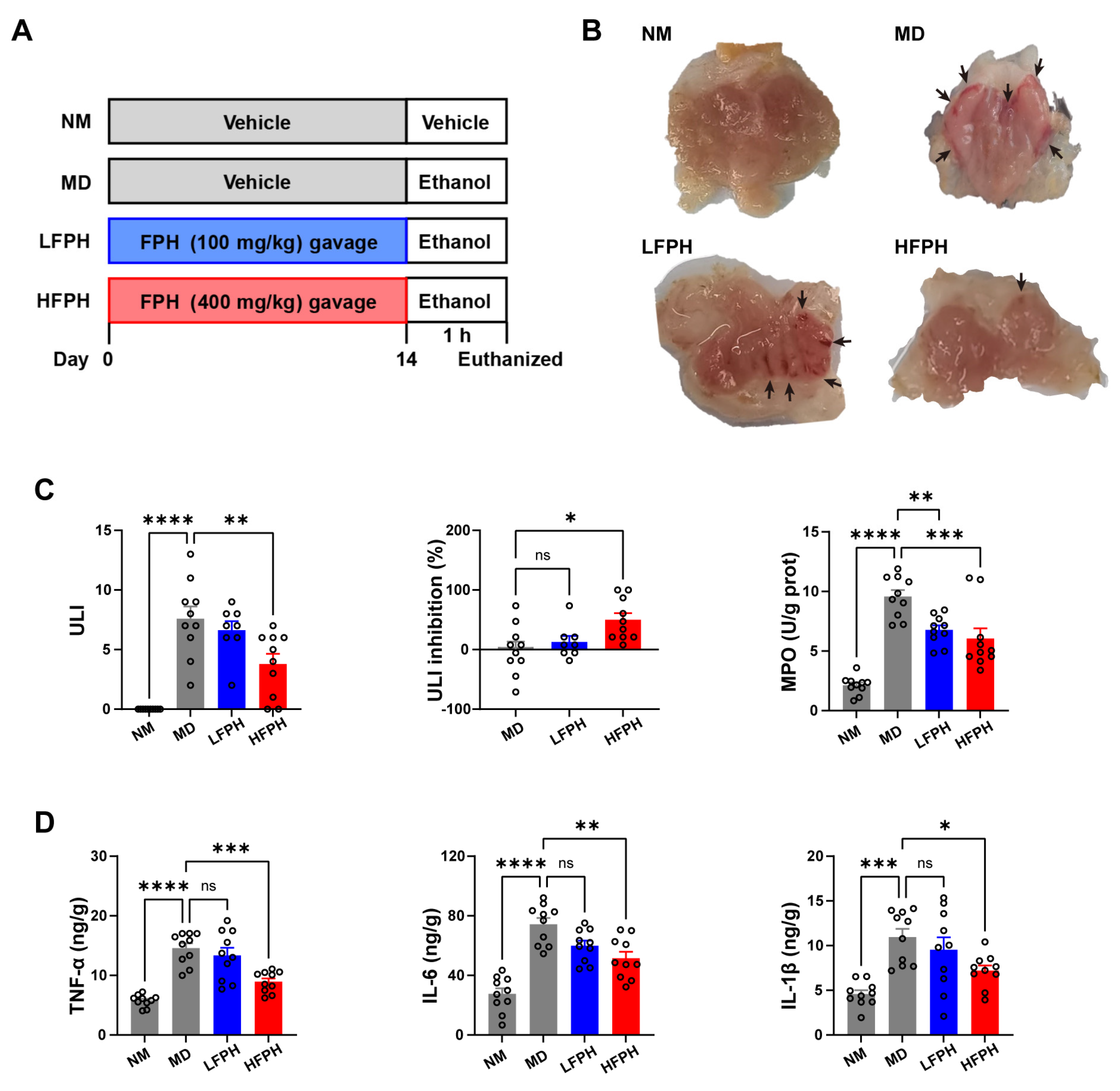 Antioxidants 11 02459 g001