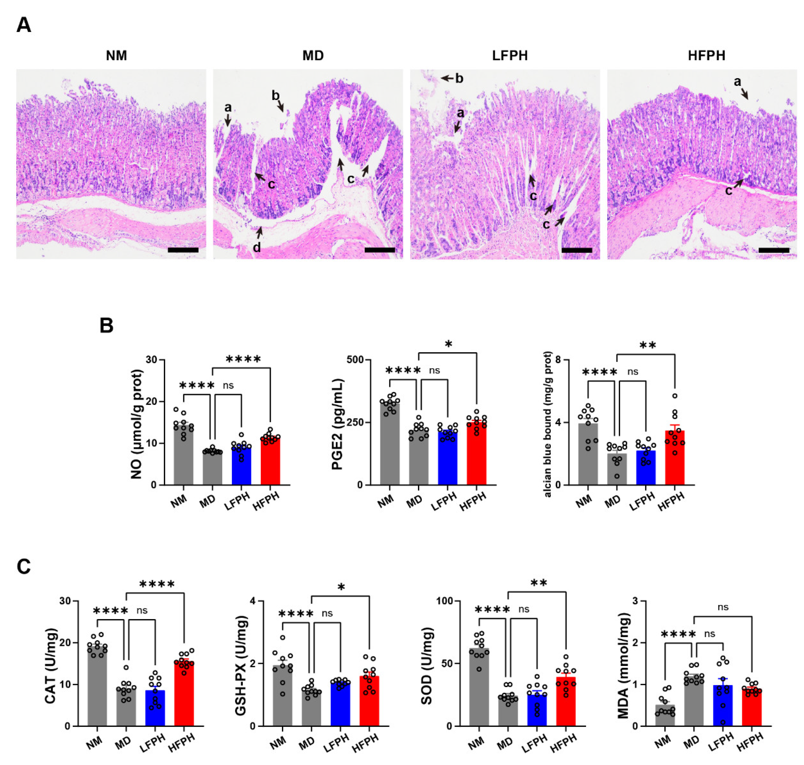 Antioxidants 11 02459 g002