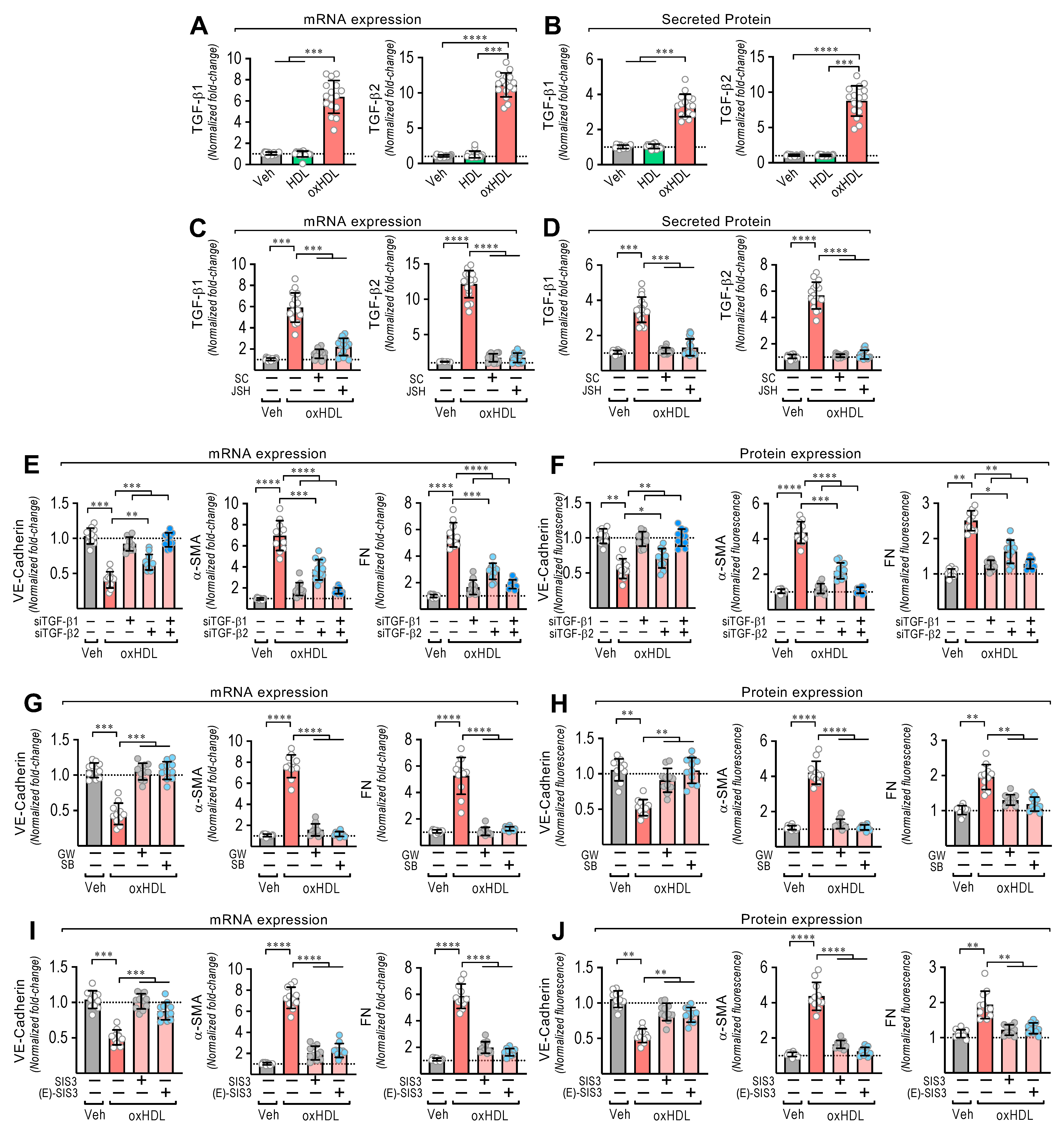 Antioxidants 11 02469 g002 Antioxidants 11 02469 g002