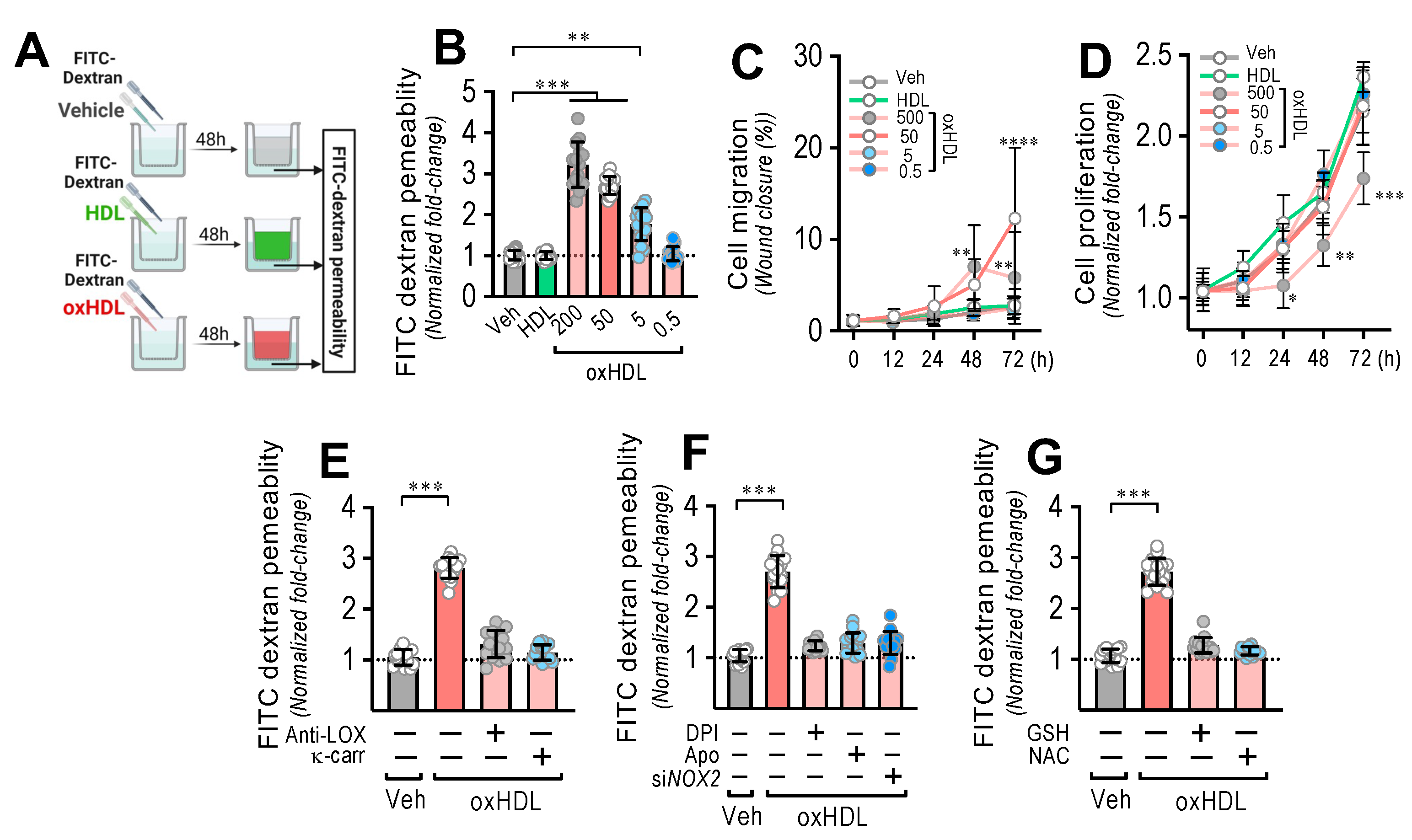 Antioxidants 11 02469 g003 Antioxidants 11 02469 g003