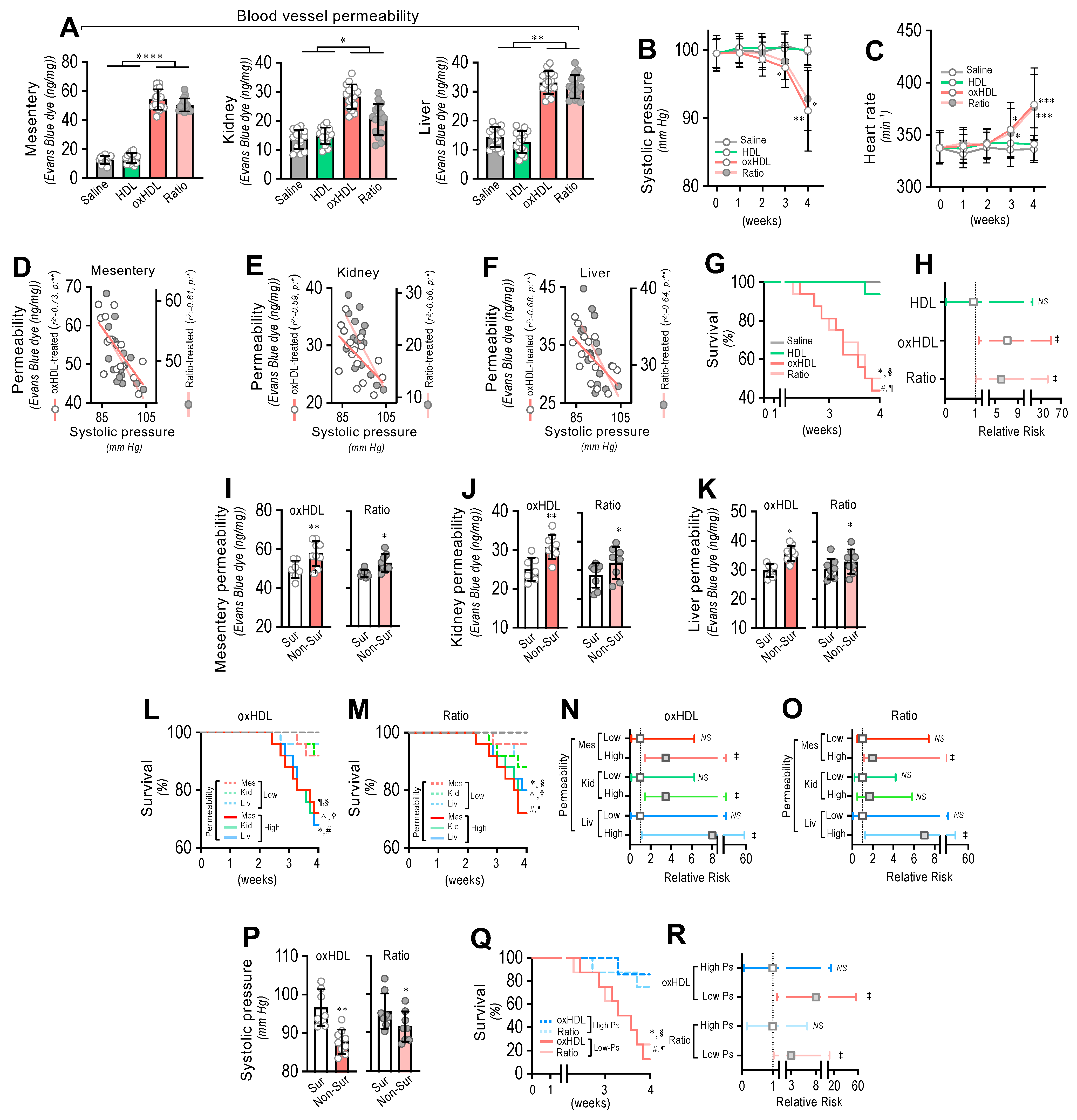 Antioxidants 11 02469 g005 Antioxidants 11 02469 g005