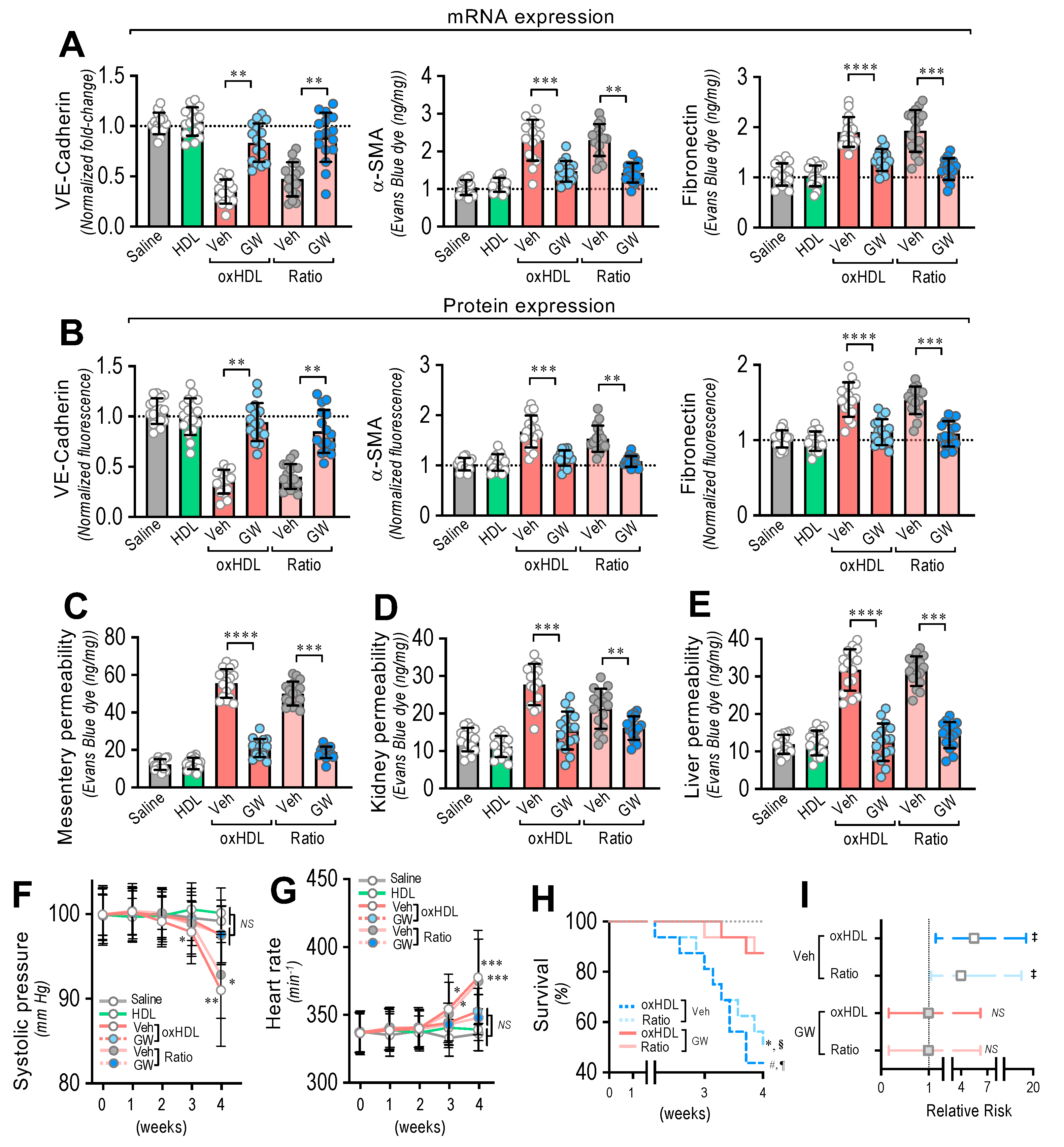 Antioxidants 11 02469 g006 Antioxidants 11 02469 g006