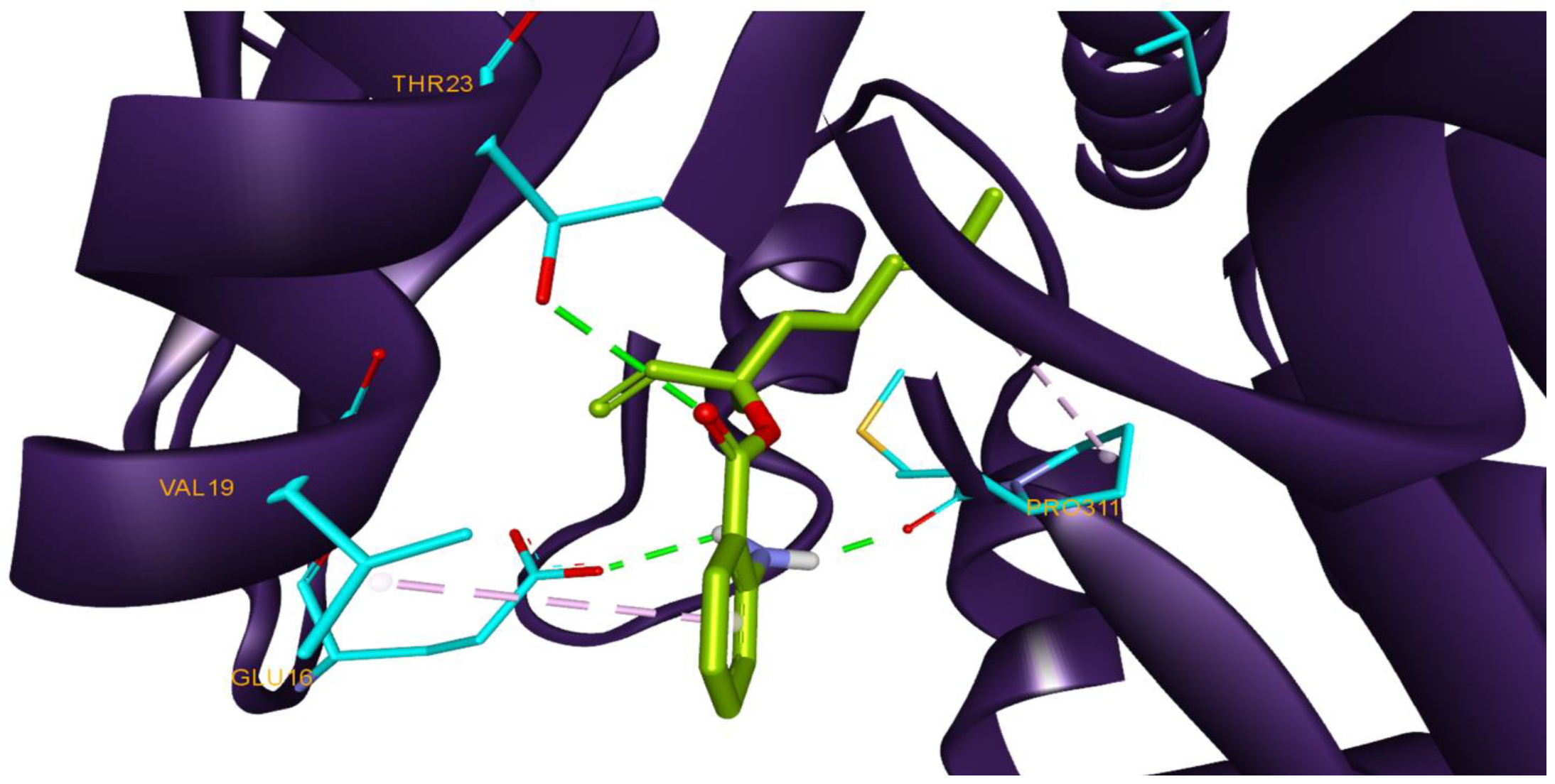 Antioxidants 11 02472 g003