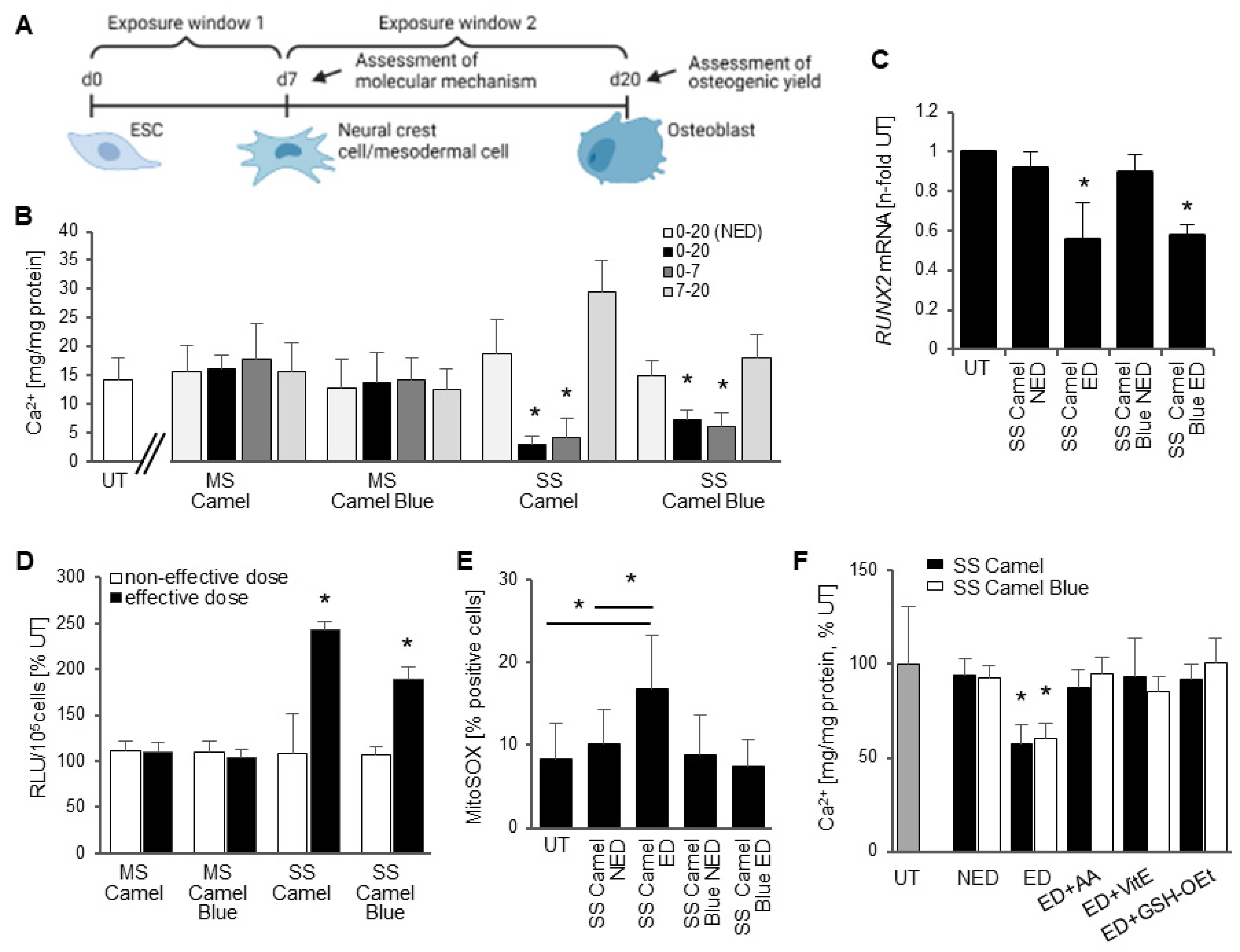 Antioxidants 11 02474 g001 Antioxidants 11 02474 g001