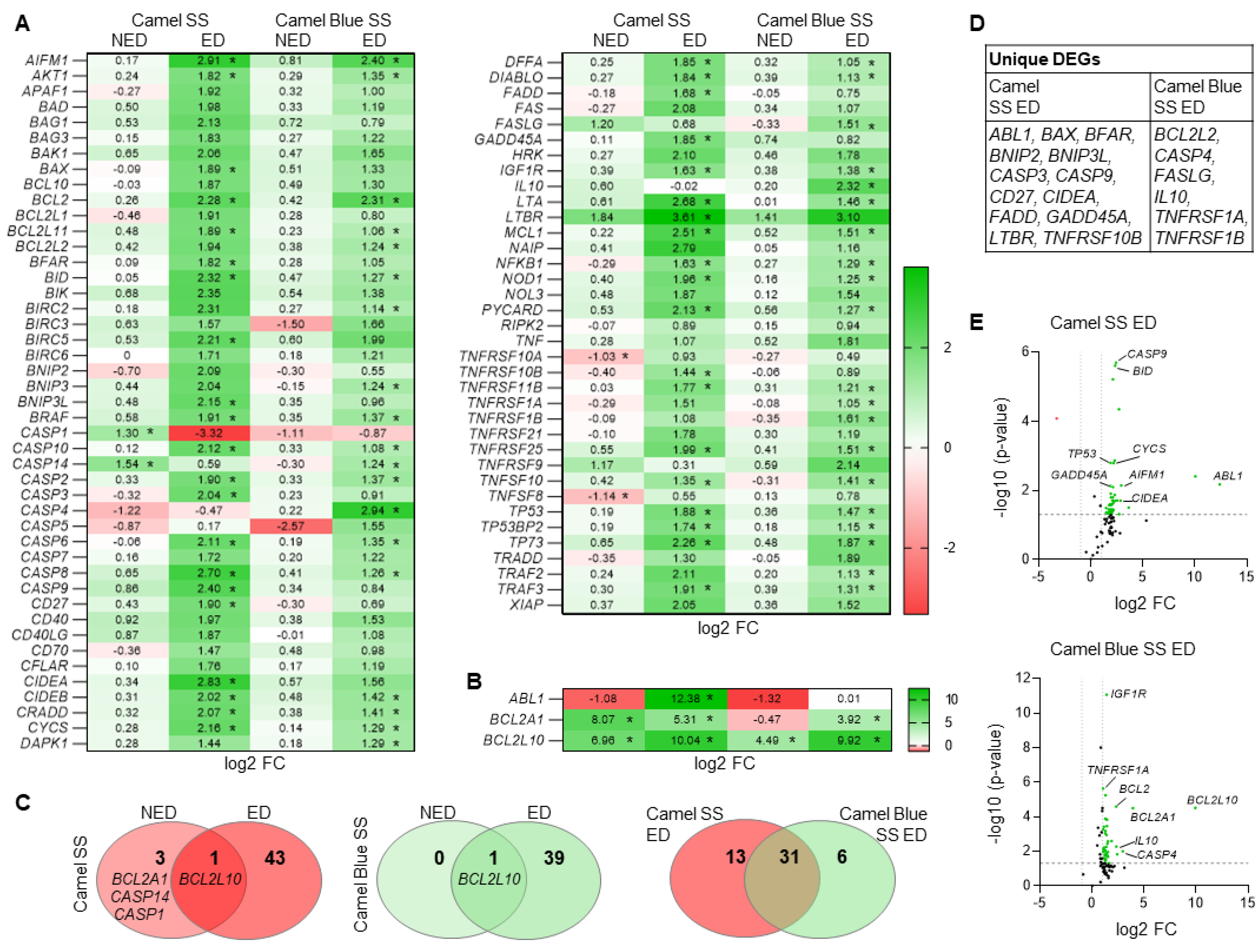 Antioxidants 11 02474 g002 Antioxidants 11 02474 g002