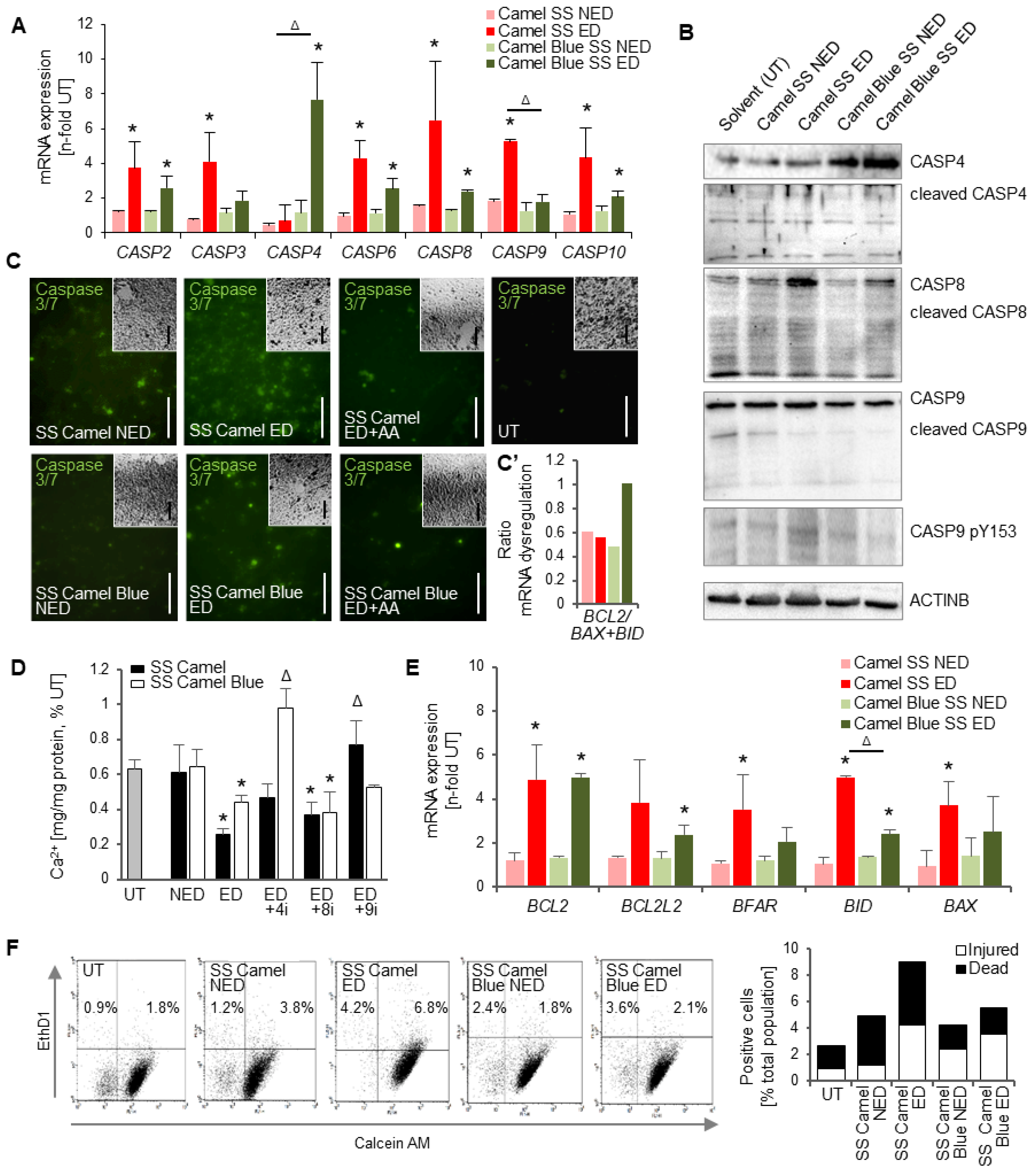Antioxidants 11 02474 g003 Antioxidants 11 02474 g003