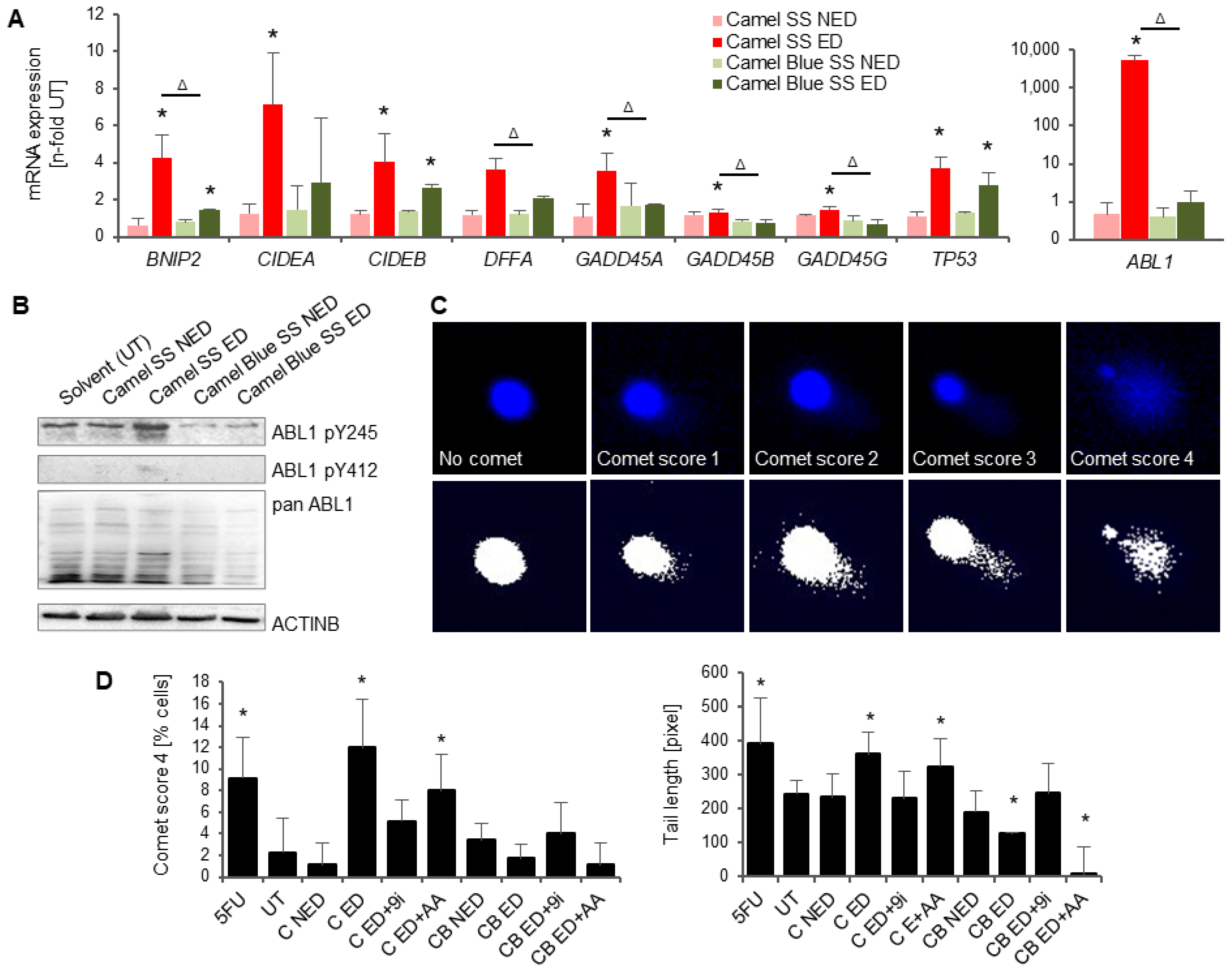 Antioxidants 11 02474 g004 Antioxidants 11 02474 g004