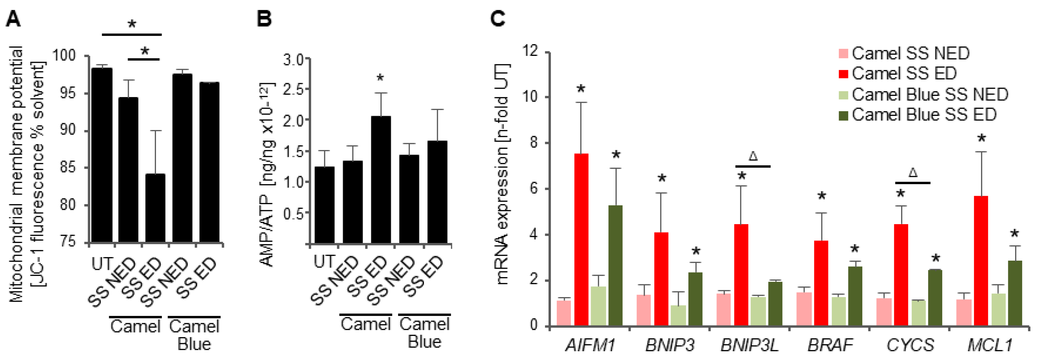 Antioxidants 11 02474 g005 Antioxidants 11 02474 g005
