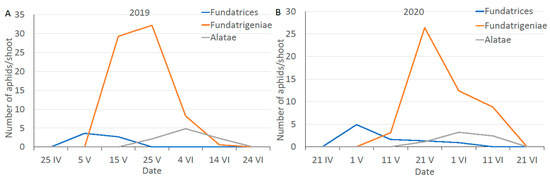 Antioxidants | Free Full-Text | Differences in Oxidative Stress