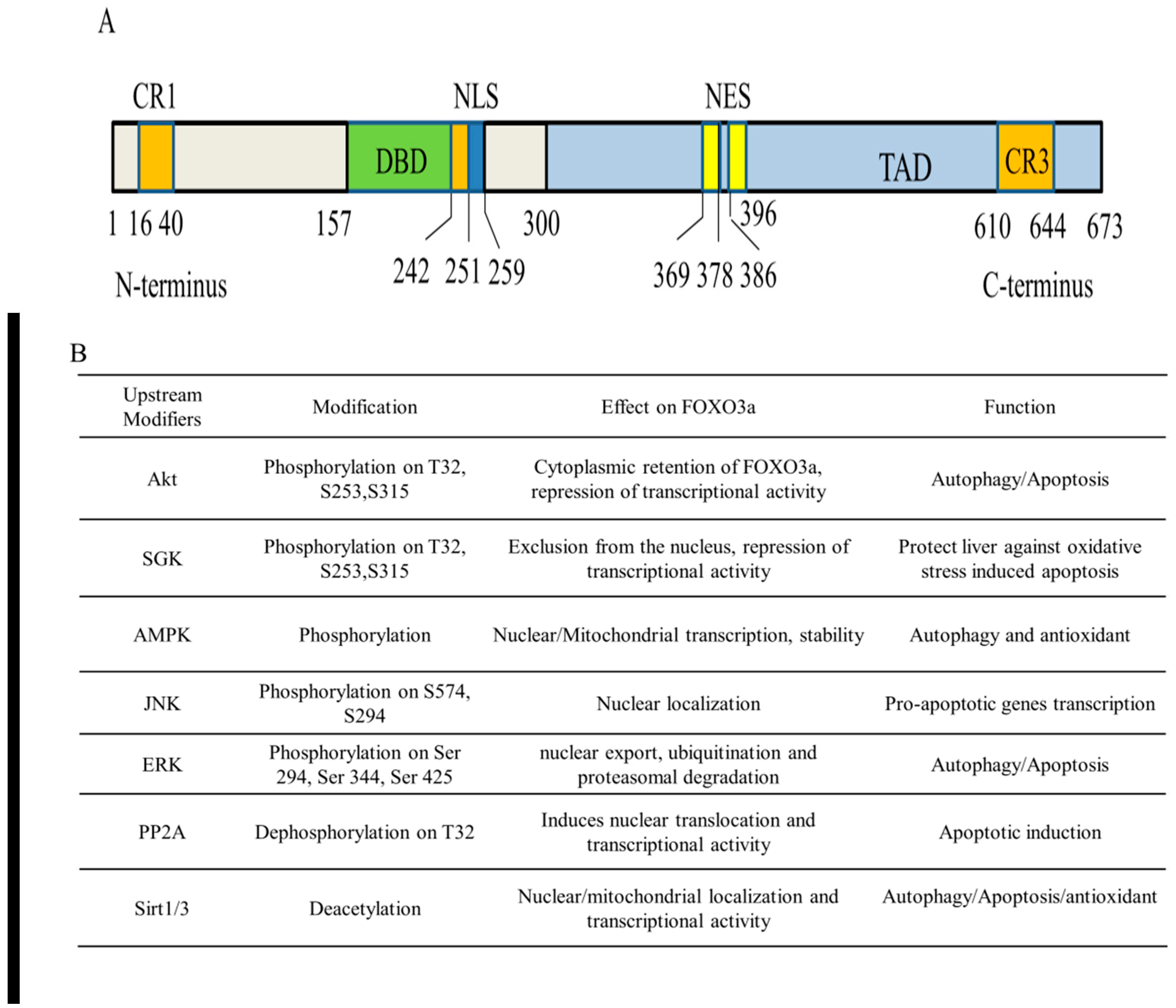 Antioxidants 11 02478 g002 Antioxidants 11 02478 g002