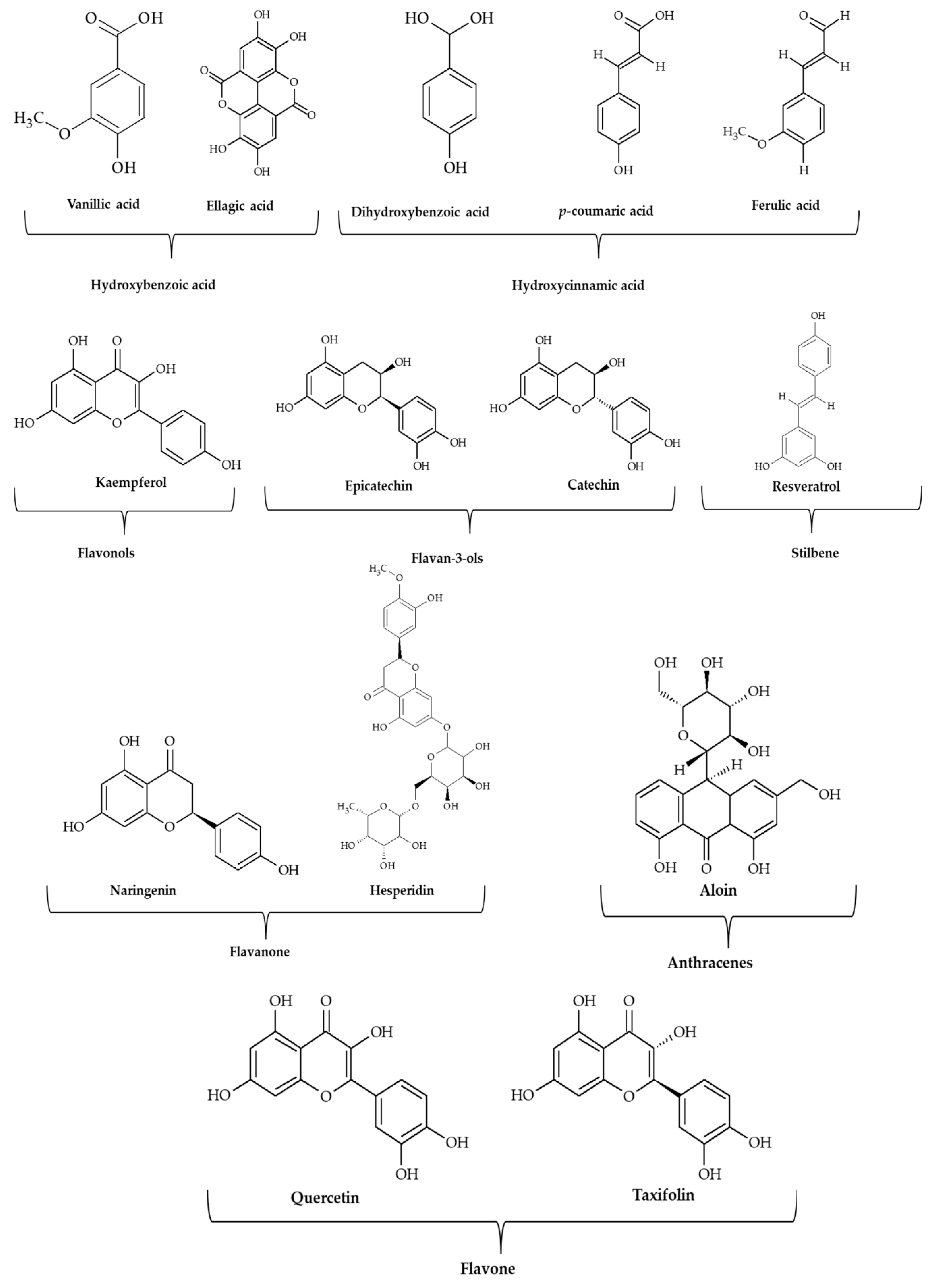 Antioxidants 11 02479 g003 Antioxidants 11 02479 g003