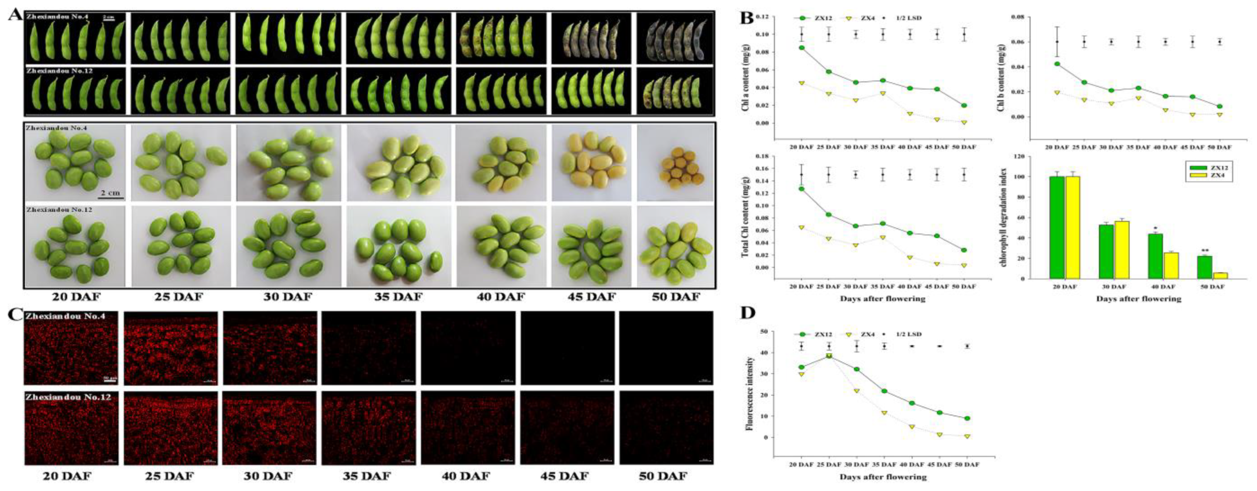 Antioxidants 11 02480 g001 Antioxidants 11 02480 g001