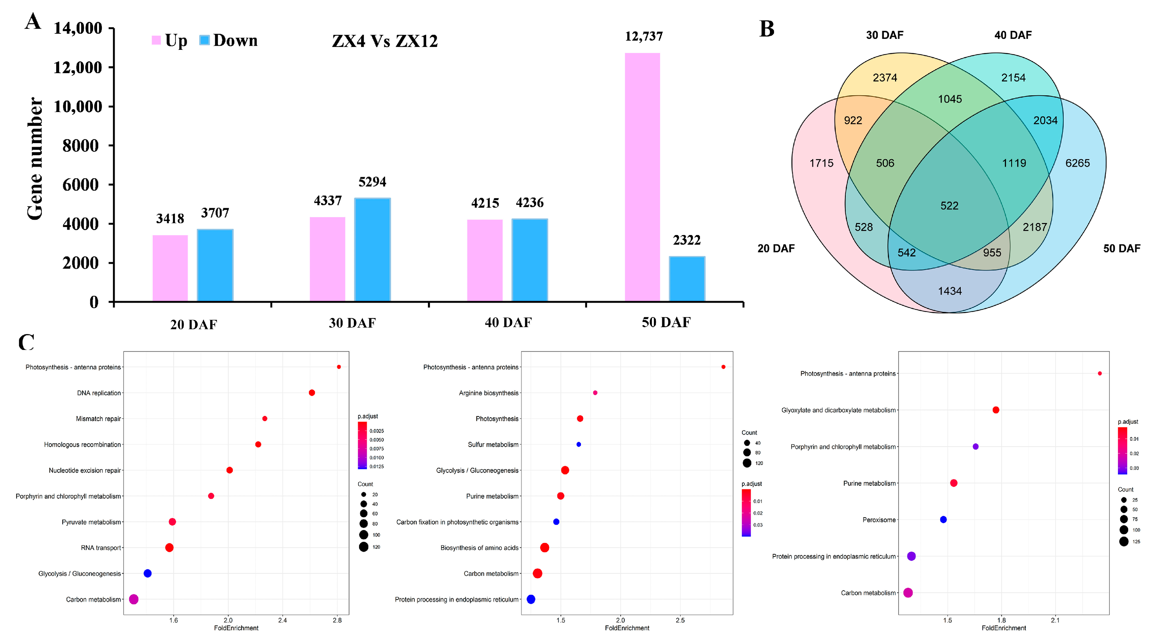 Antioxidants 11 02480 g003 Antioxidants 11 02480 g003