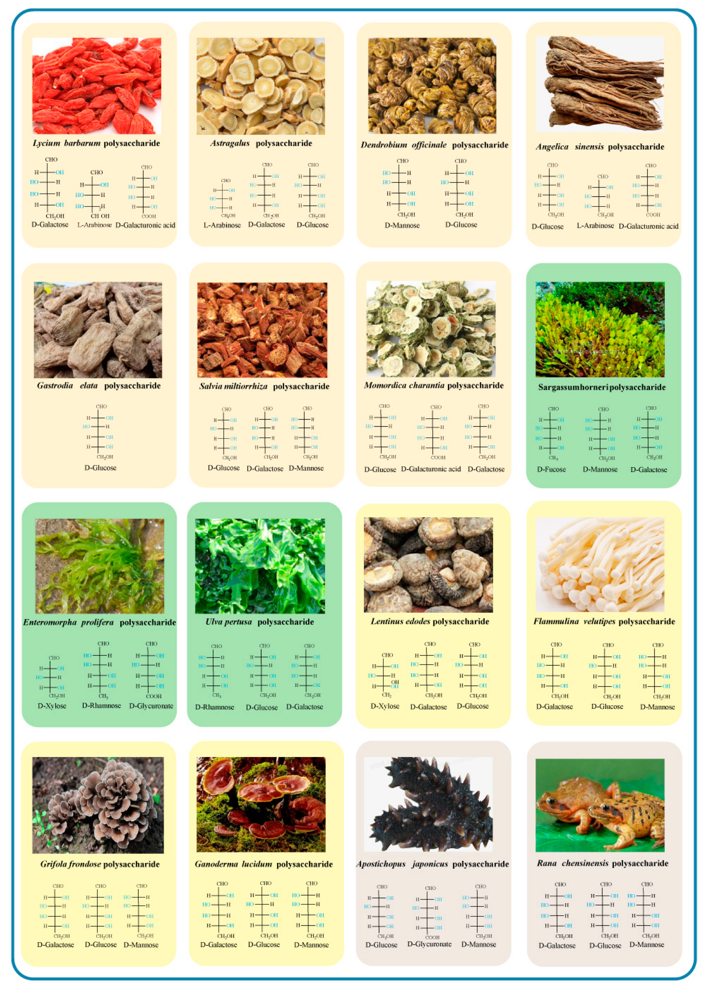 Antioxidants 11 02491 g003 550