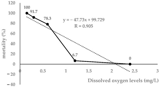 pazy 71WYfEA5J+L.jpg_BO30,255,255,