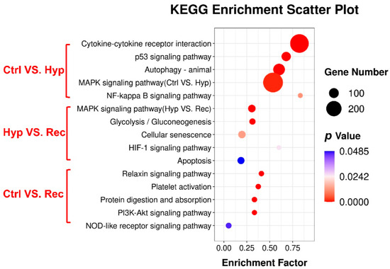 Transcriptome and 16S rRNA Analyses Reveal That Hypoxic