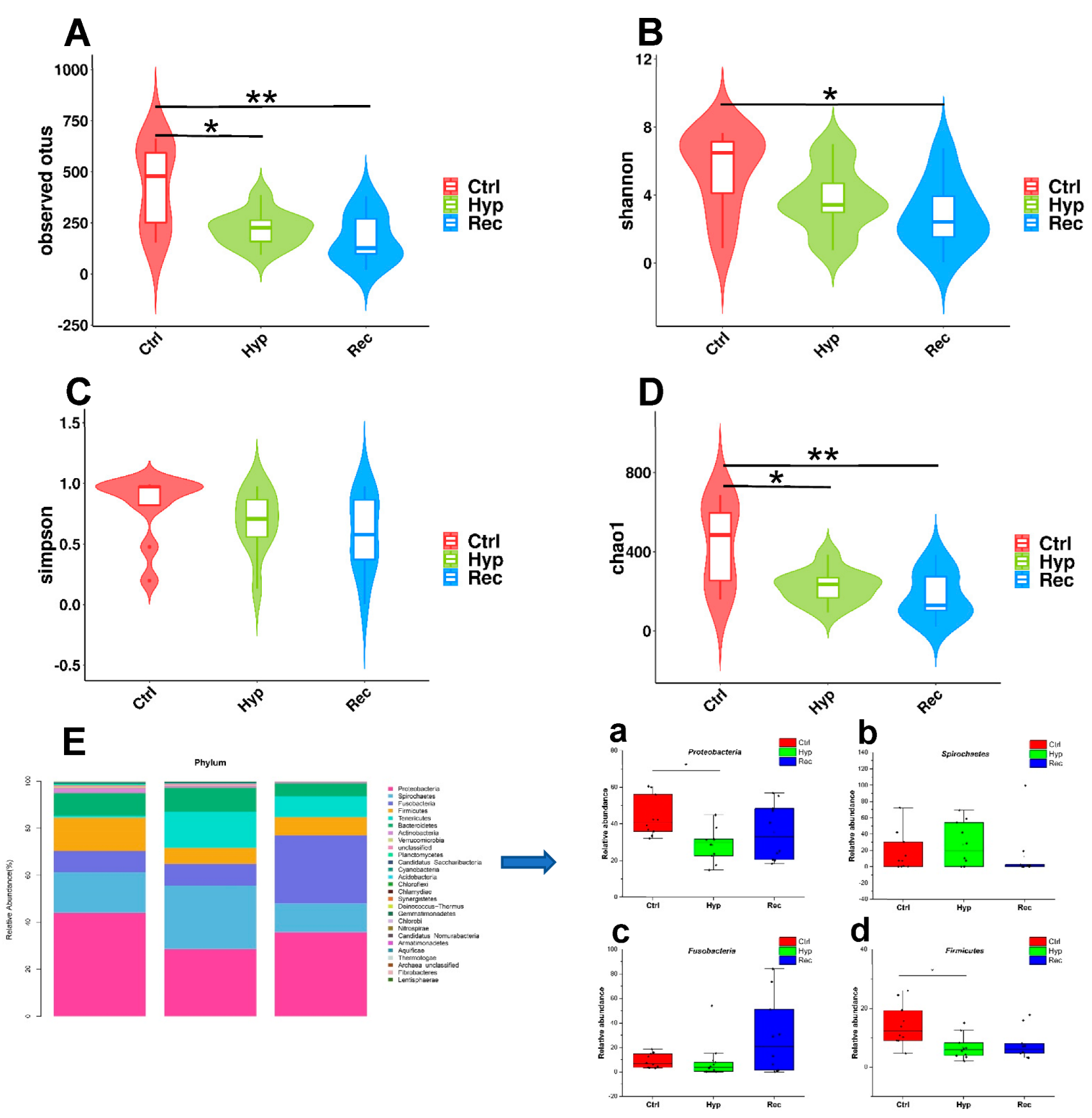 Antioxidants 12 00001 g008
