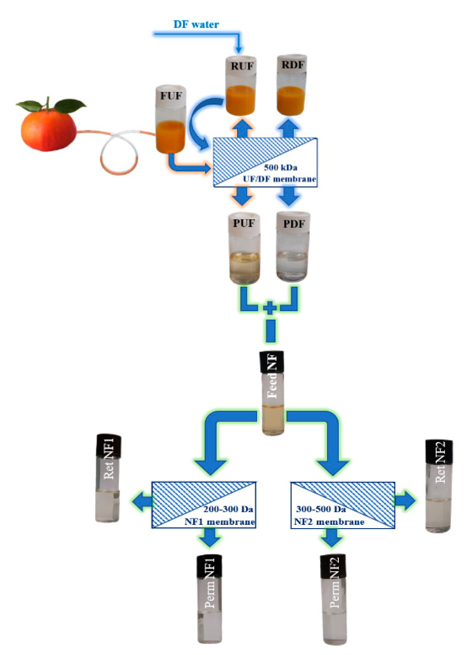 Antioxidants Free FullText NMRBased Characterization of Citrus