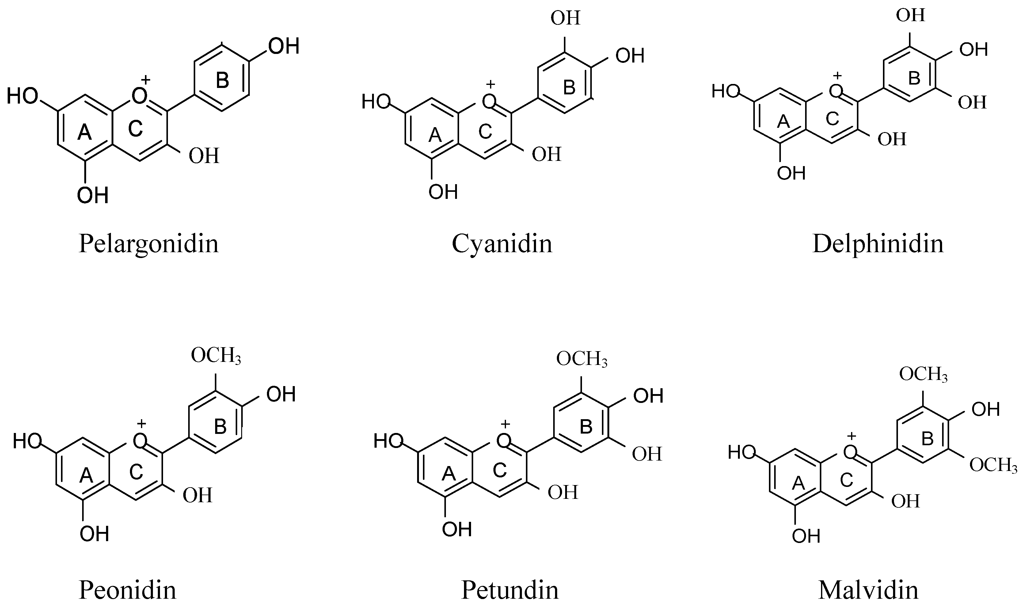 Antioxidants 12 00003 g002 Antioxidants 12 00003 g002