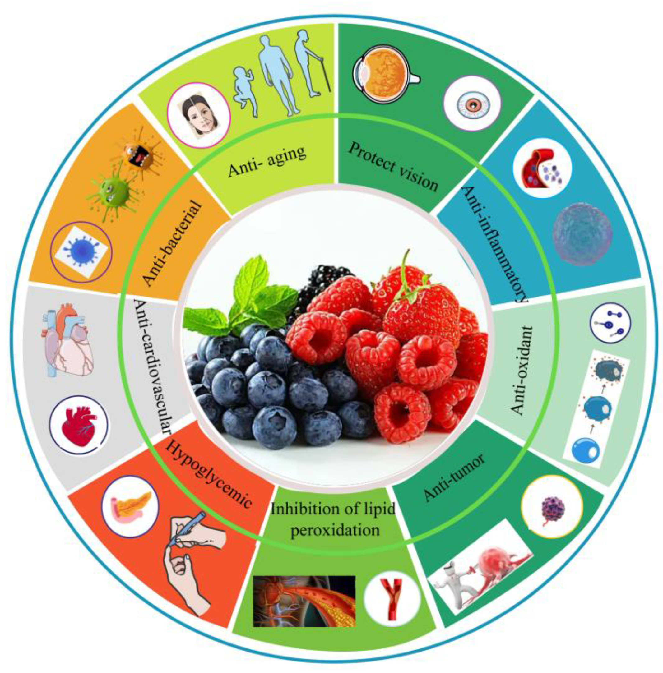 Antioxidants 12 00003 g004 Antioxidants 12 00003 g004