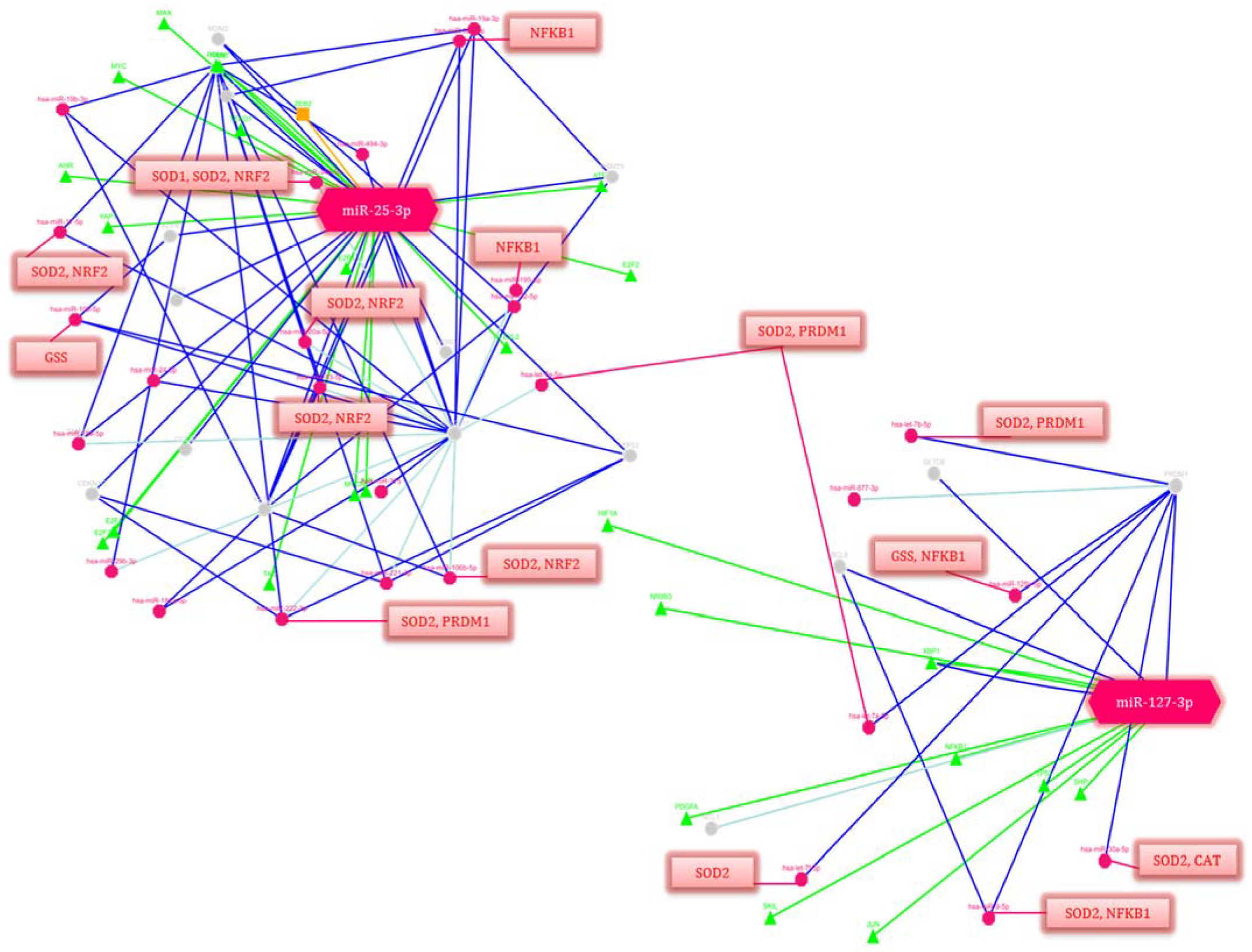 Antioxidants 12 00006 g006