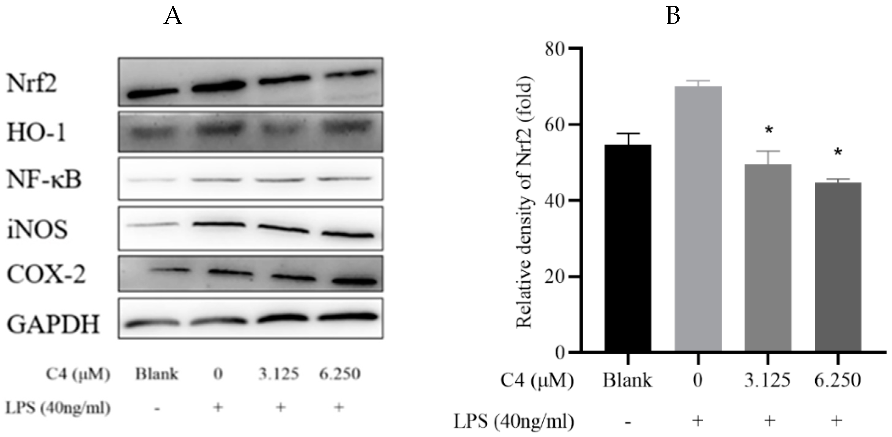 Antioxidants 12 00007 g005a