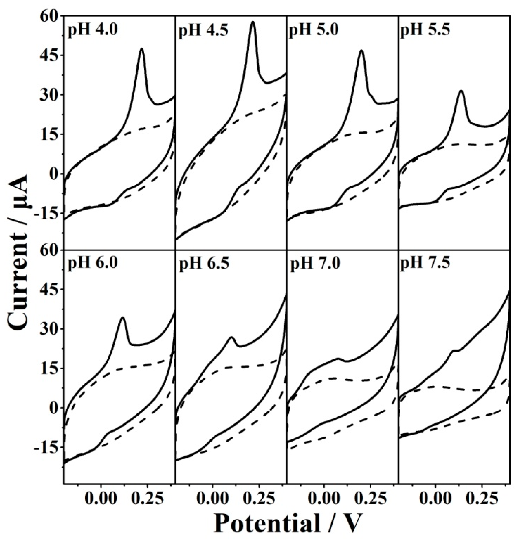 Antioxidants 12 00008 g007 Antioxidants 12 00008 g007