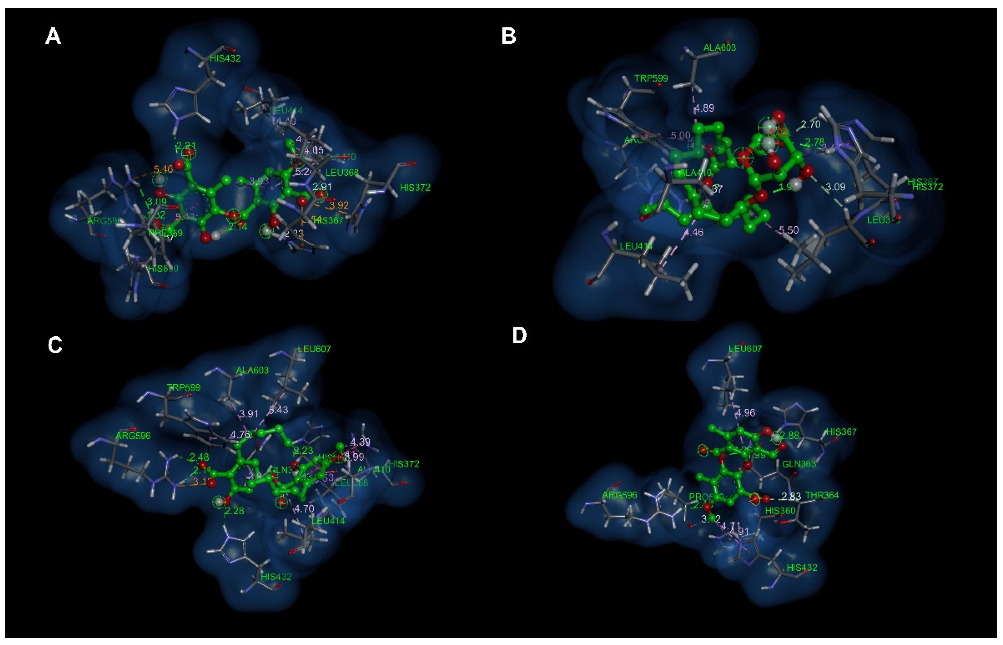 Antioxidants 12 00010 g004 Antioxidants 12 00010 g004