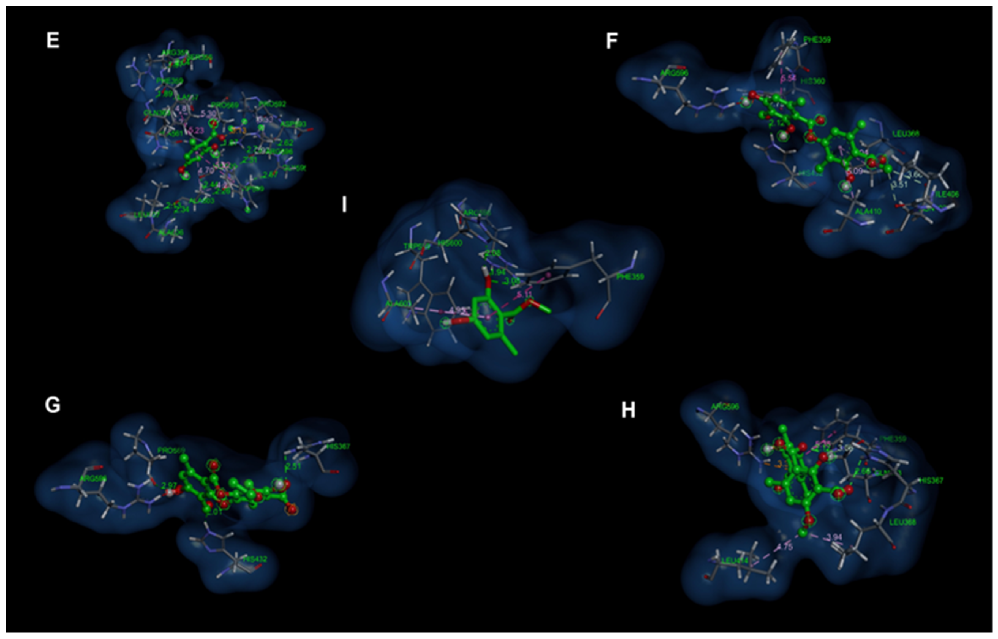 Antioxidants 12 00010 g006 Antioxidants 12 00010 g006