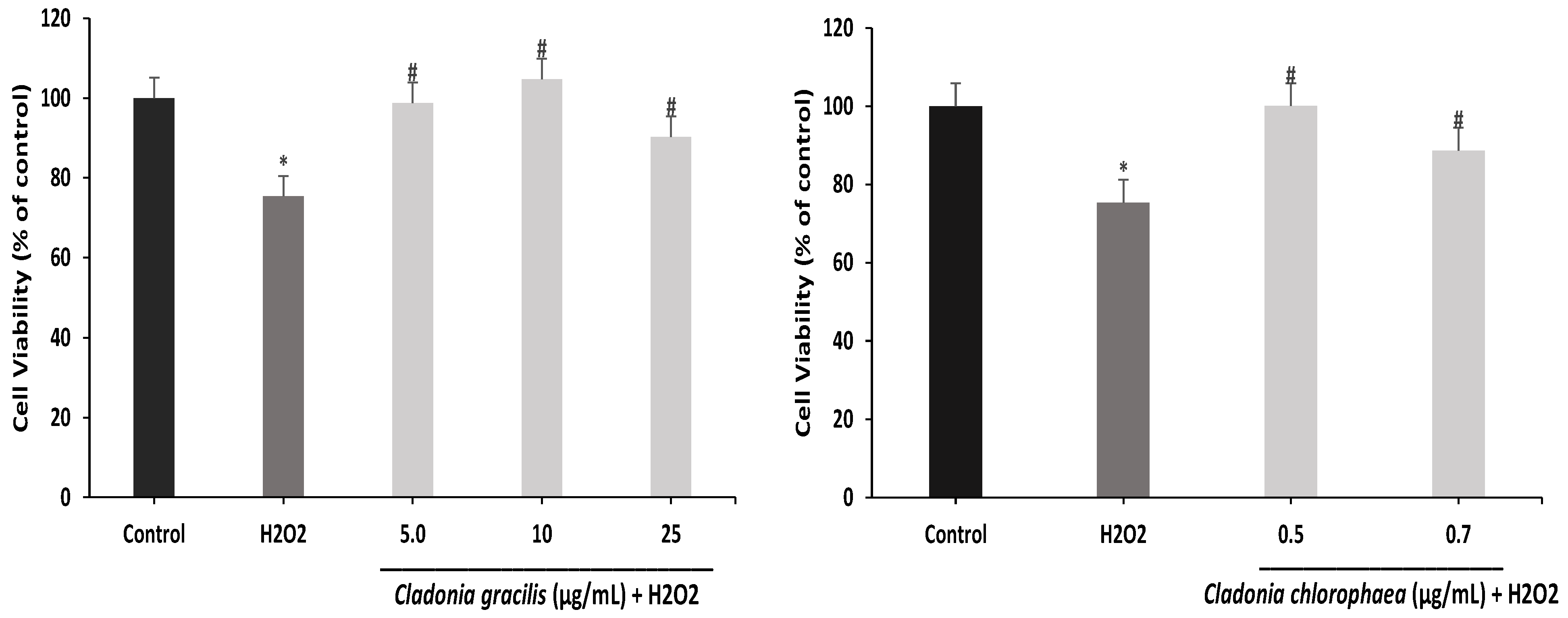 Antioxidants 12 00010 g009 Antioxidants 12 00010 g009