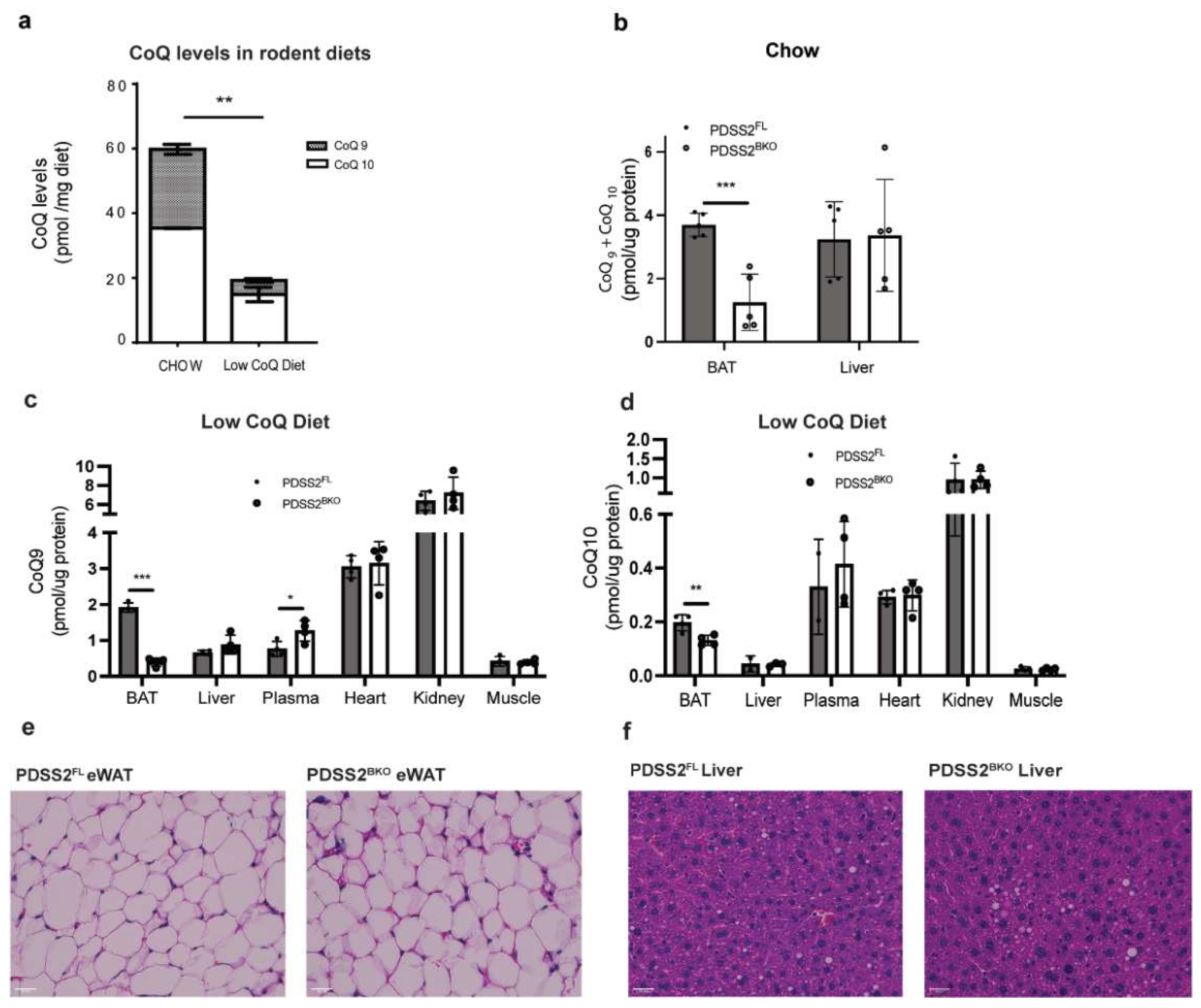 Antioxidants 12 00014 g0a2