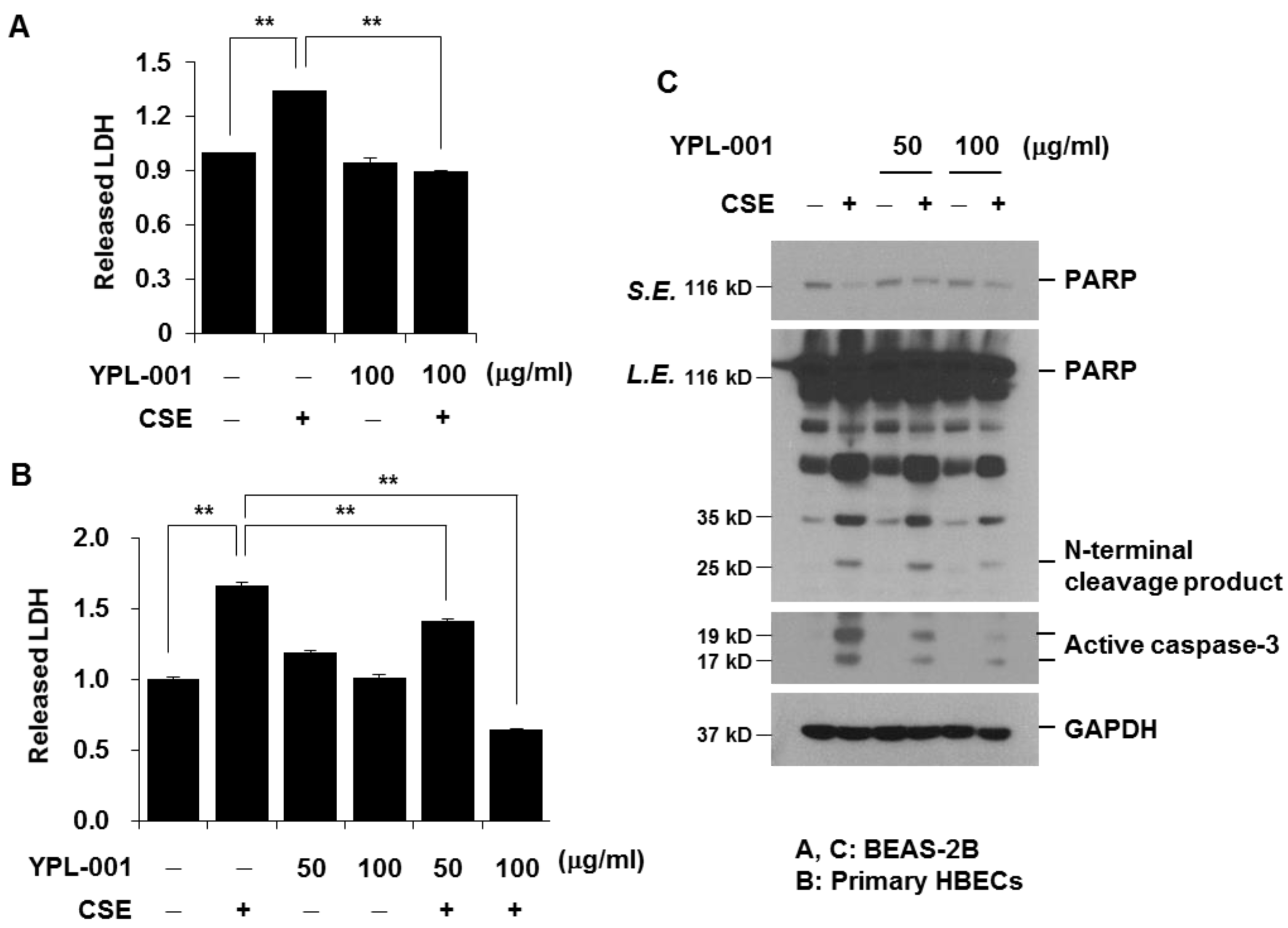 Antioxidants 12 00015 g005 Antioxidants 12 00015 g005