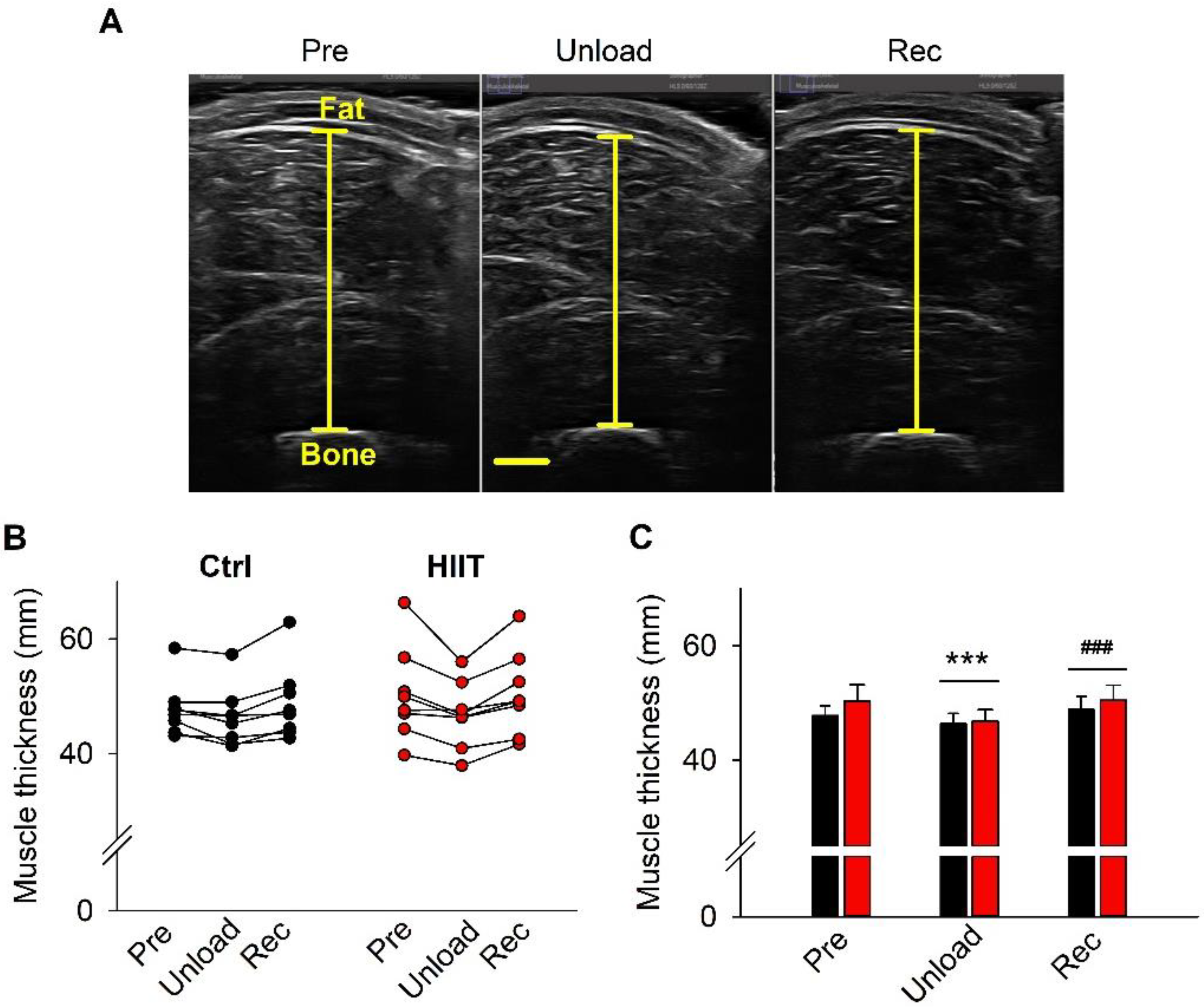 Antioxidants 12 00016 g003 Antioxidants 12 00016 g003