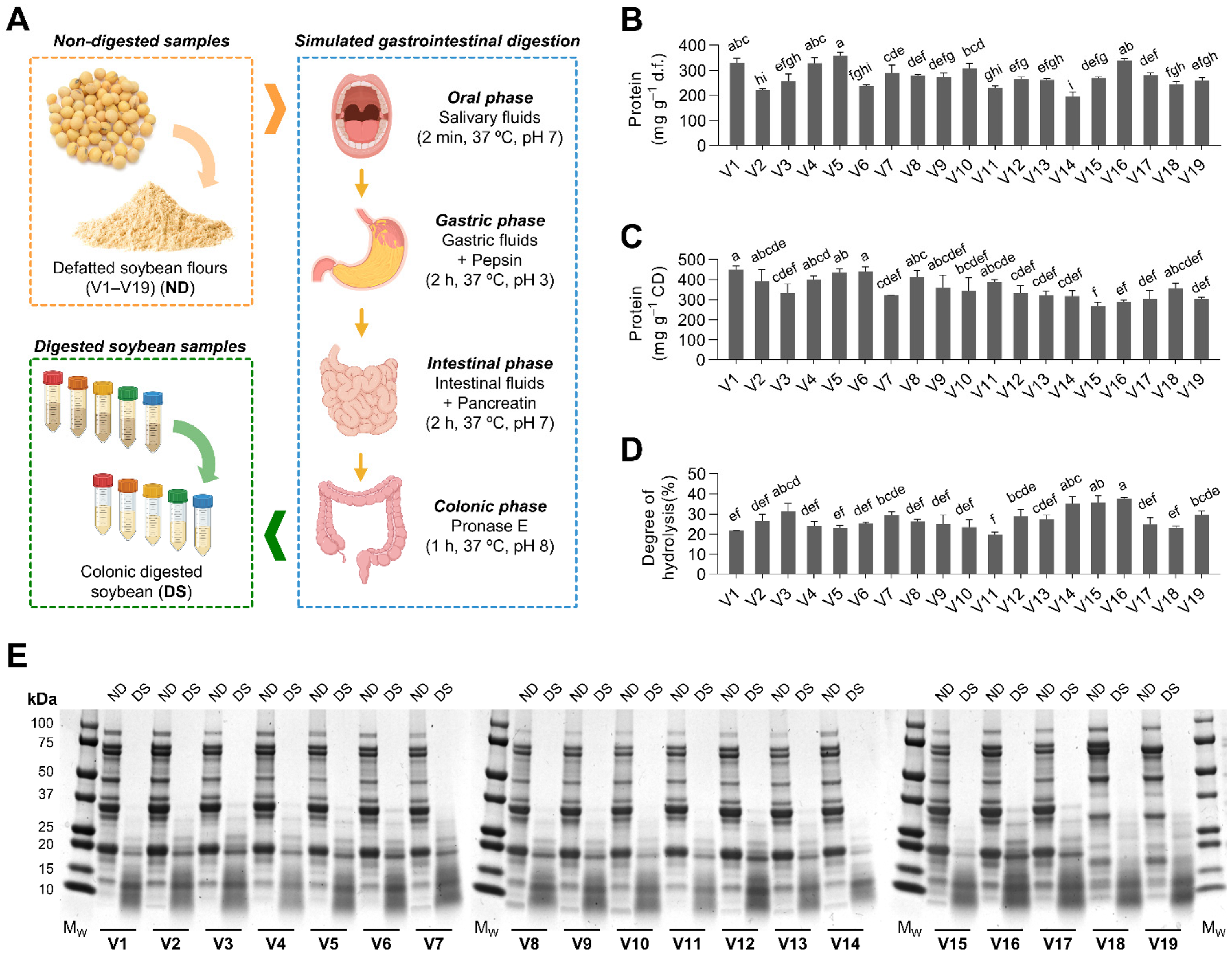 Antioxidants 12 00020 g001 Antioxidants 12 00020 g001