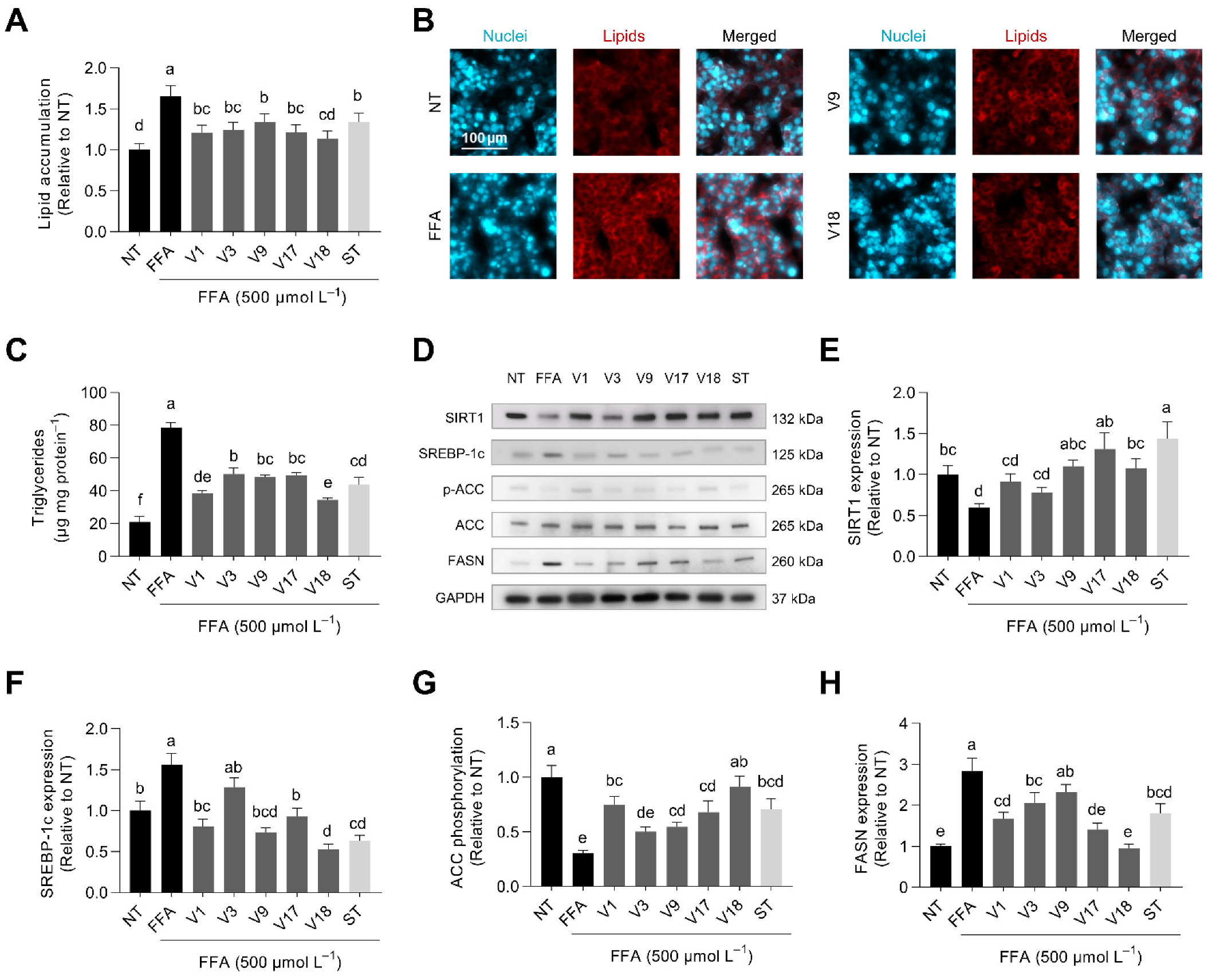 Antioxidants 12 00020 g007 Antioxidants 12 00020 g007
