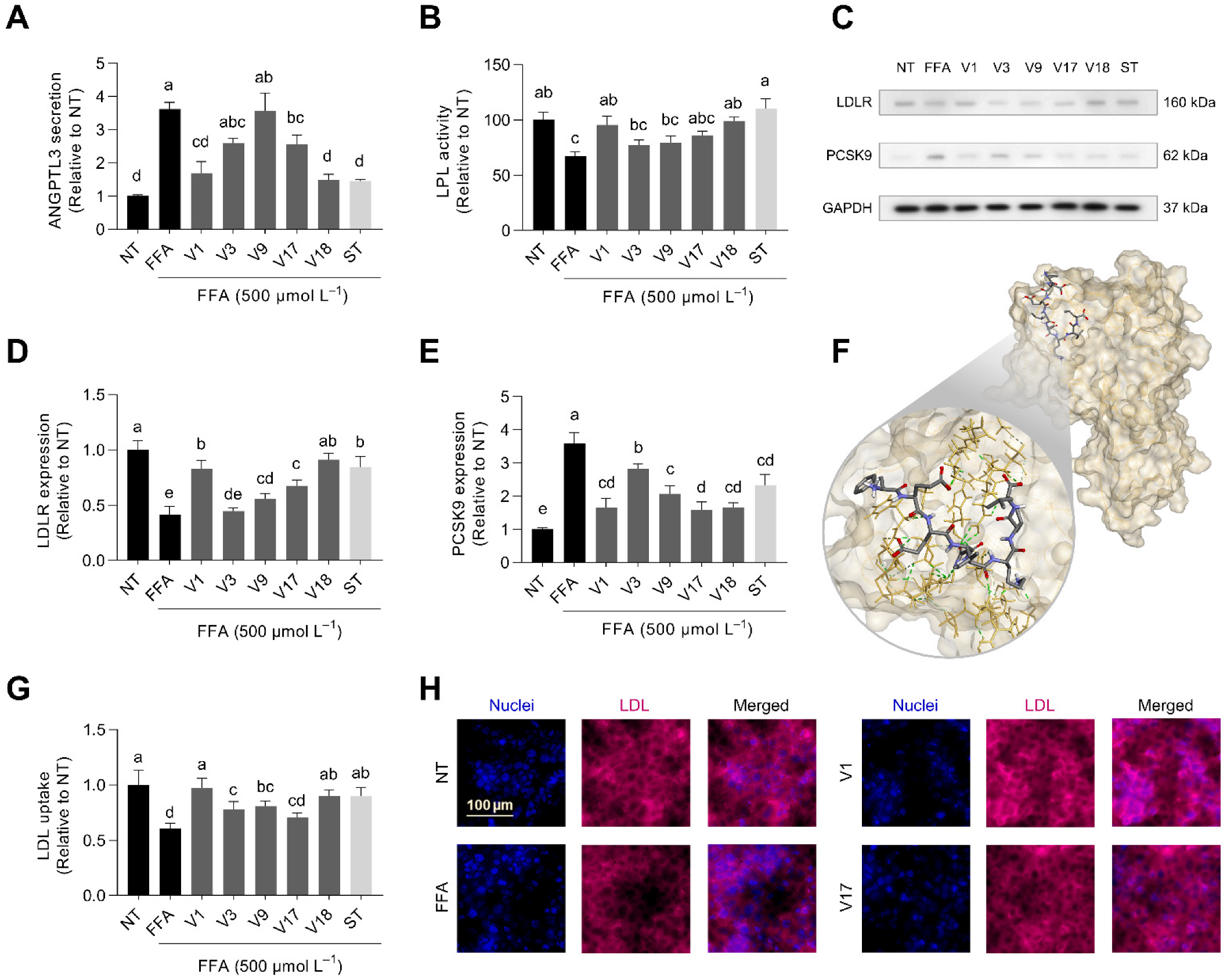Antioxidants 12 00020 g008 Antioxidants 12 00020 g008
