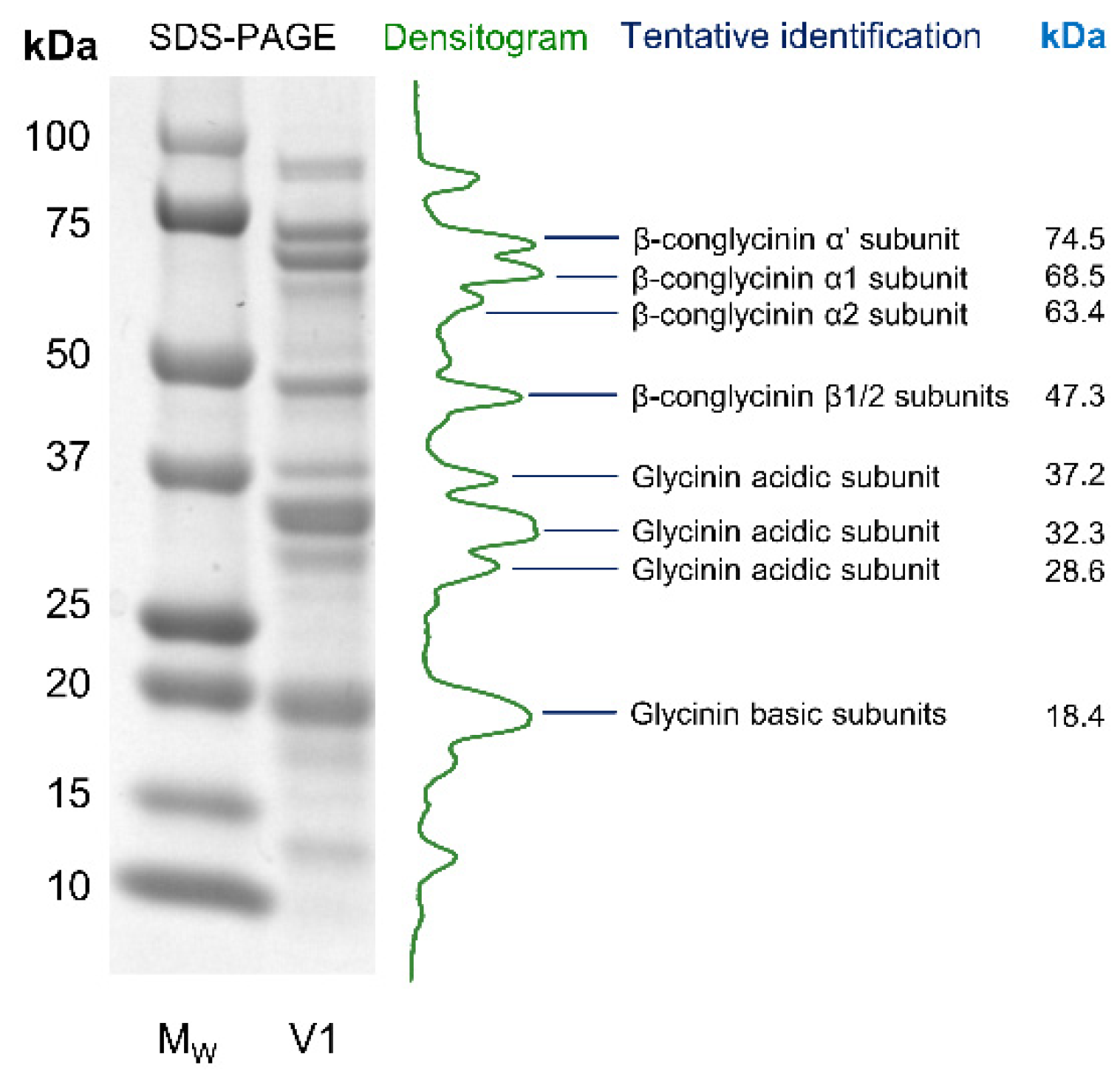 Antioxidants 12 00020 g0a1 Antioxidants 12 00020 g0a1