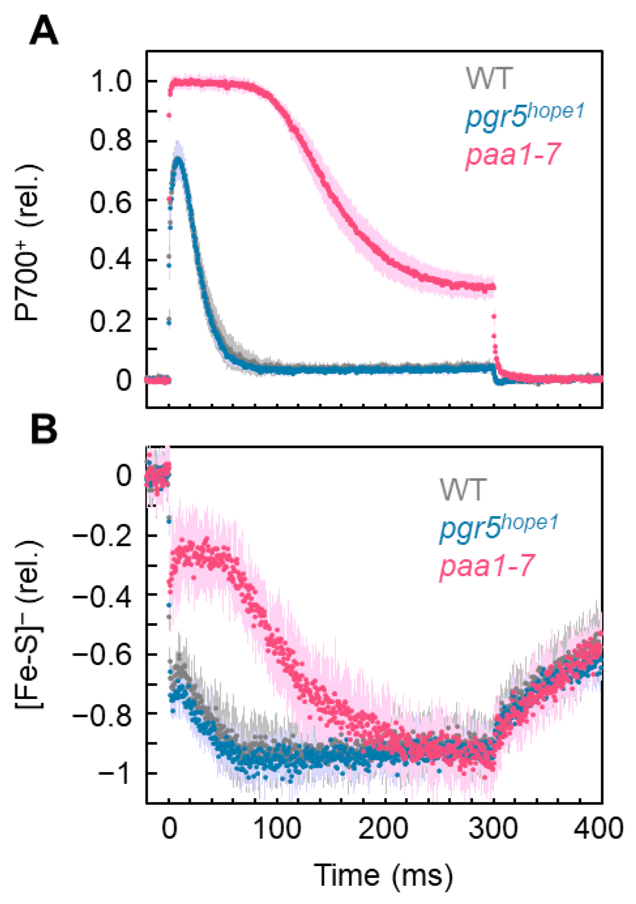 Antioxidants 12 00021 g001 Antioxidants 12 00021 g001